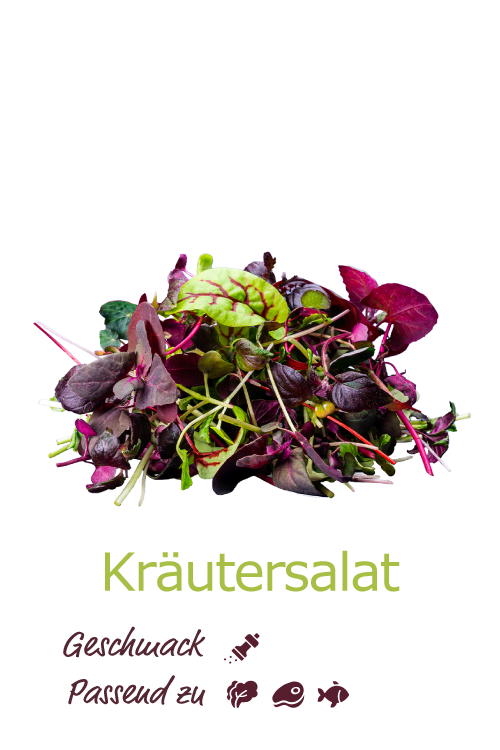Kräutersalat