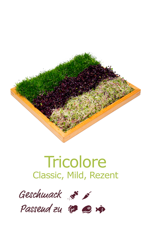 Tricolore