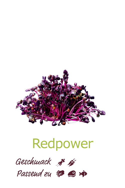 Redpower