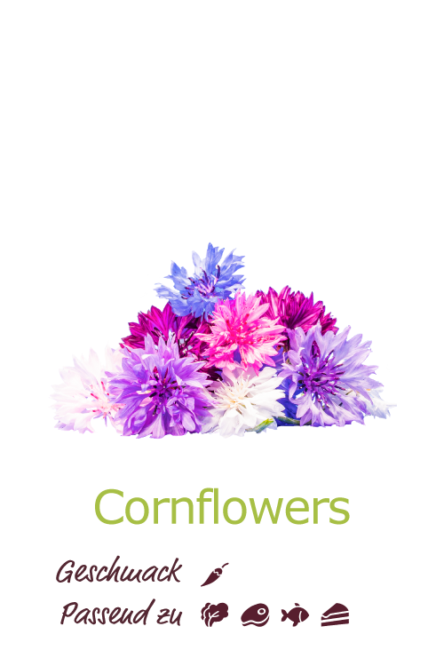 Cornflowers