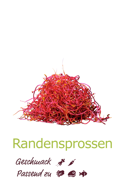 Randensprossen