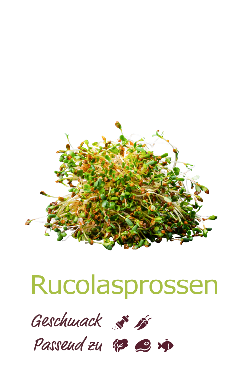 Rucolasprossen