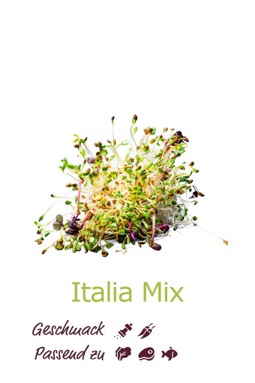 Italia Mix