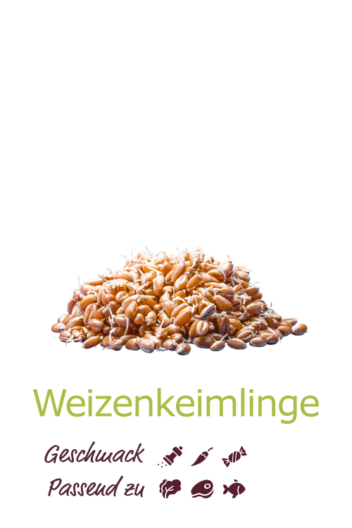 Weizenkeimlinge