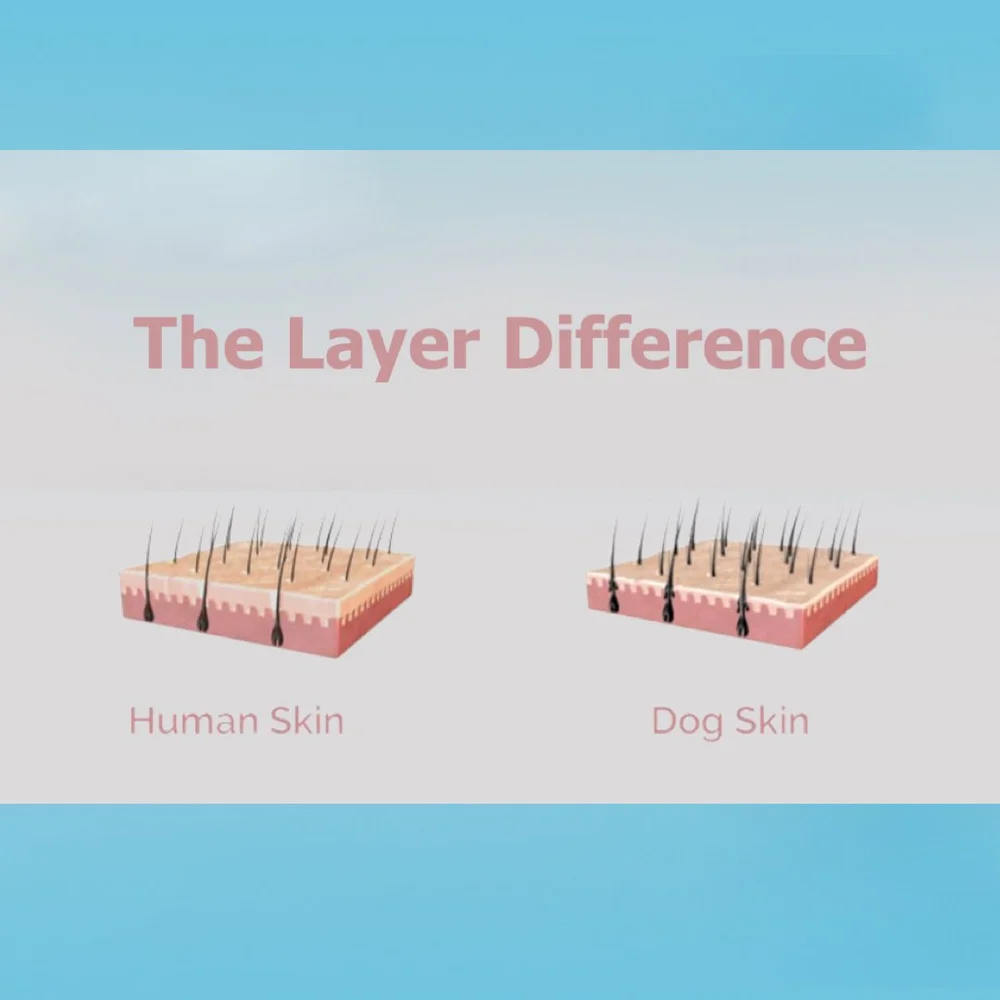 WAG the Dog Why Using Human Shampoo on Dogs is Unsafe Pet Care