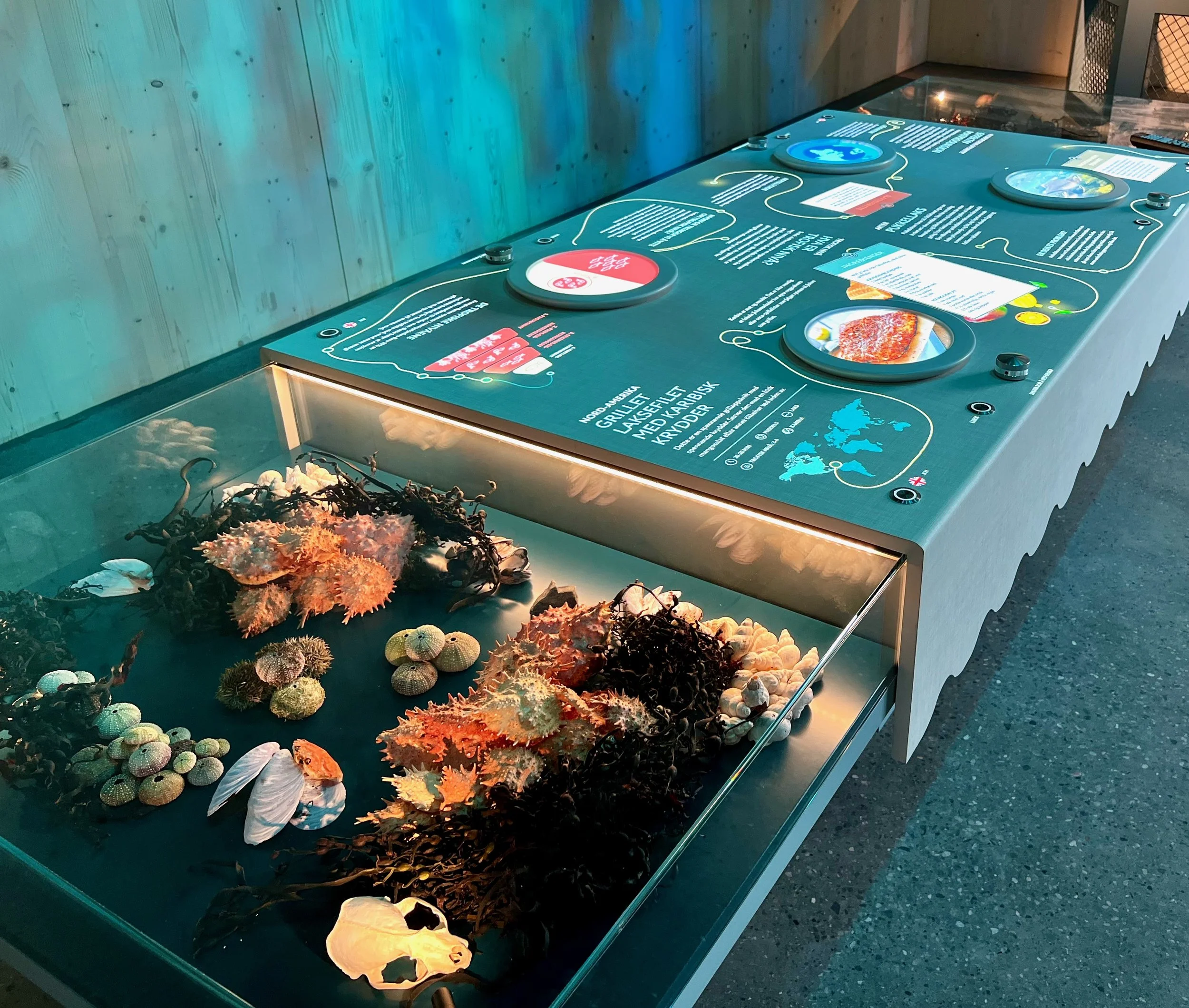 Ocean Stories