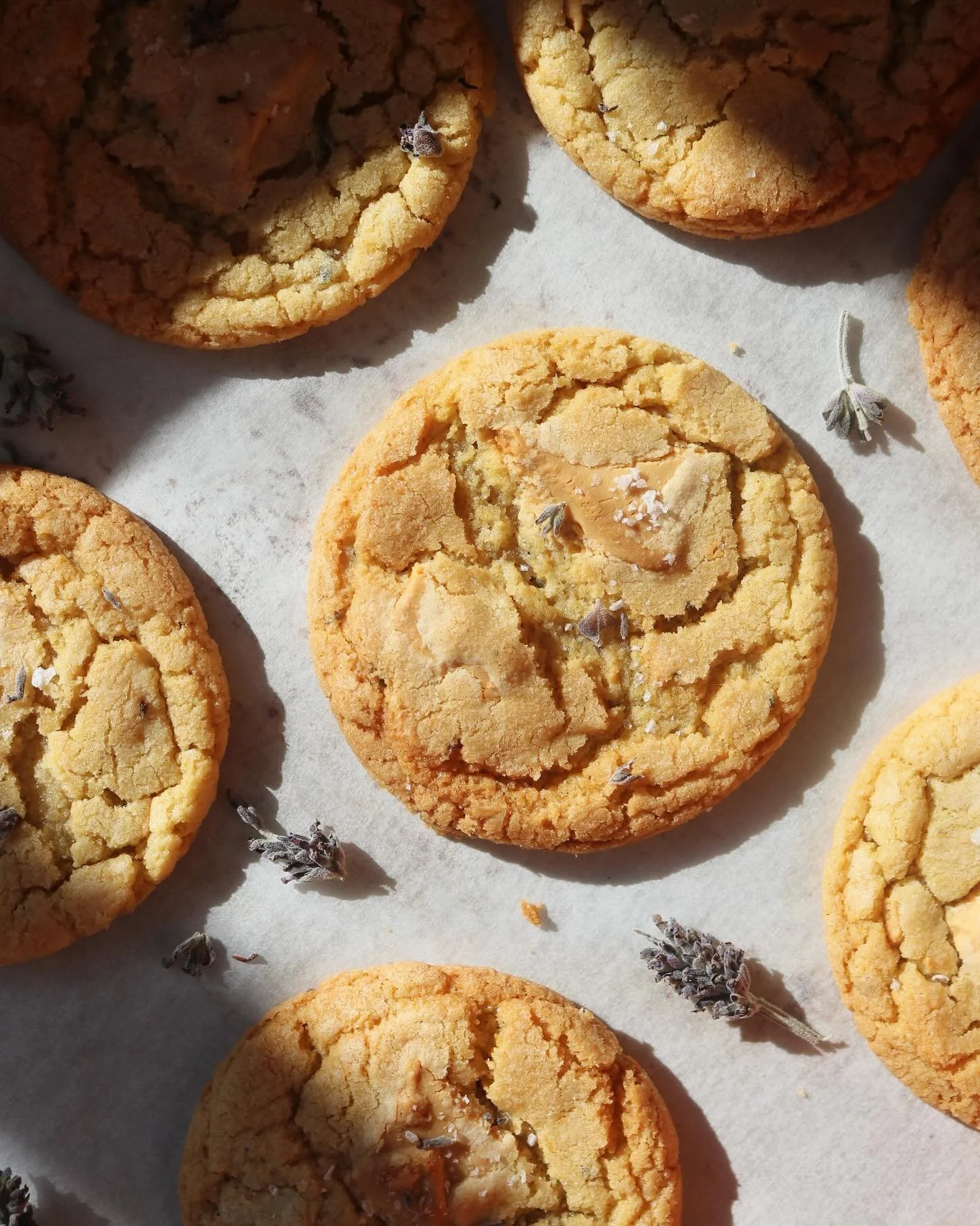 lemon, lavender &amp; caramelised white chocolate cookies. radiant.

recipe in this week&rsquo;s @substack newsletter, hit the link in bio or search me on the Substack platform ~ never too late to sign up (free recipes, why not!).
also check out @hel