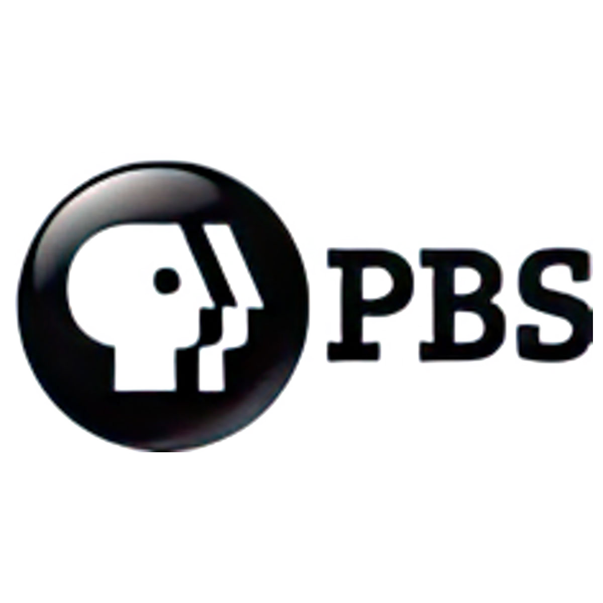 PBS (logo)-art-scale-4_00x-cropped-gigapixel.png