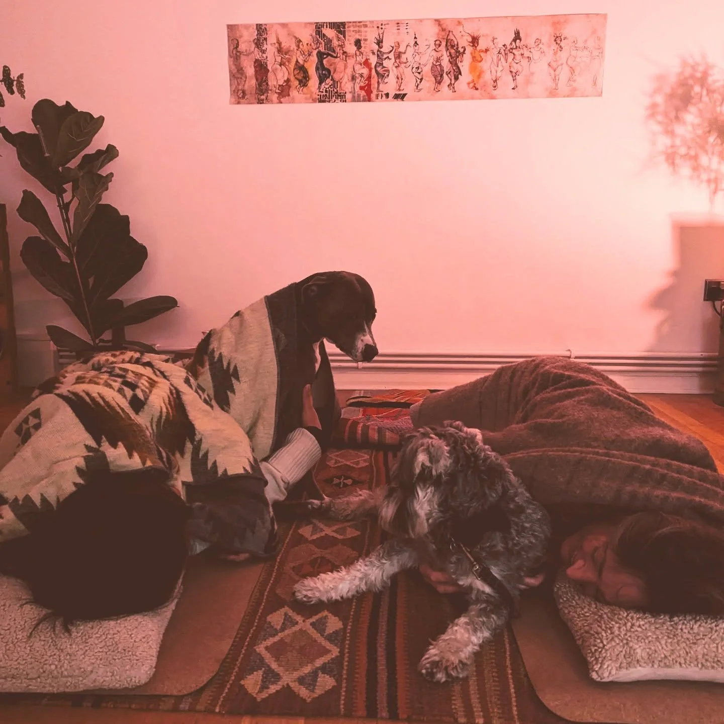 Multi-modal healing at it's best 🥰

Dogs have so much to teach us, and share - in every little moment. 

This is a little snap from a &quot;Breathwork &amp; Rose&quot; session that we piloted in collab with @yo_barker. 

Women, plants, and animals -