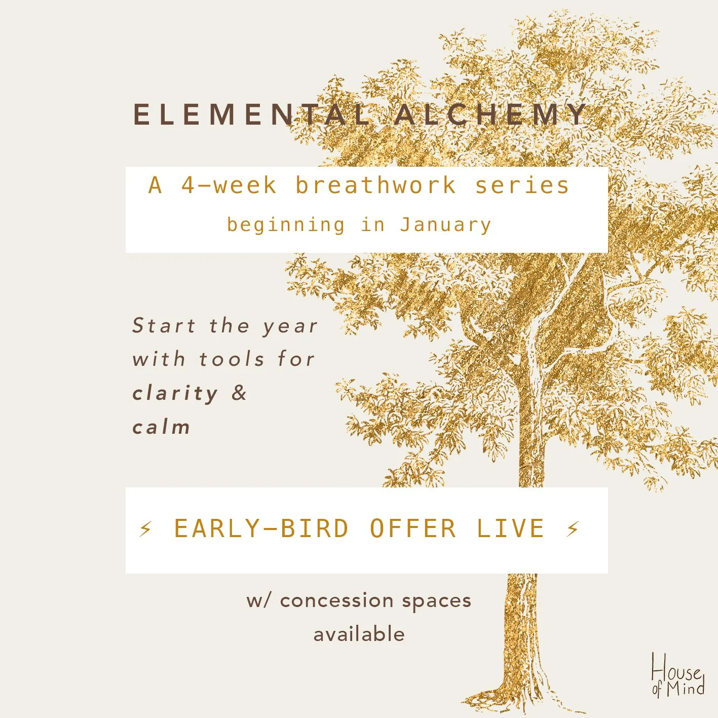 ✨ With huge excitement: Elemental Alchemy is now open for early-bird registration! 

~ A four-week, closed-group breathwork series beginning in Jan ~

We have had an epic experience with the last group - fostering inner connection, as well as overwhe
