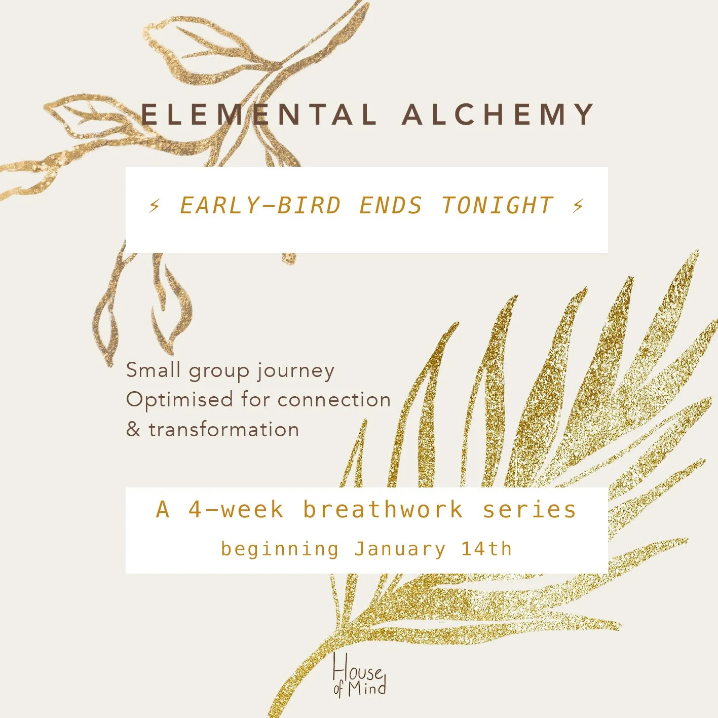 Last call for early-birds 🦉🐥🦜

Four weeks of conscious connected breathwork, pranayama techniques, and fun facts about the brain and nervous system - as well as a sure opportunity for you to re-connect with yourself, and bond with a group of like-