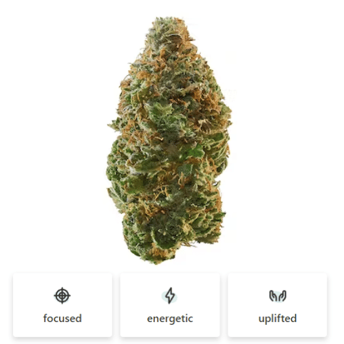 Cannabis Menu — Vibes, Cannabis Store Thailand