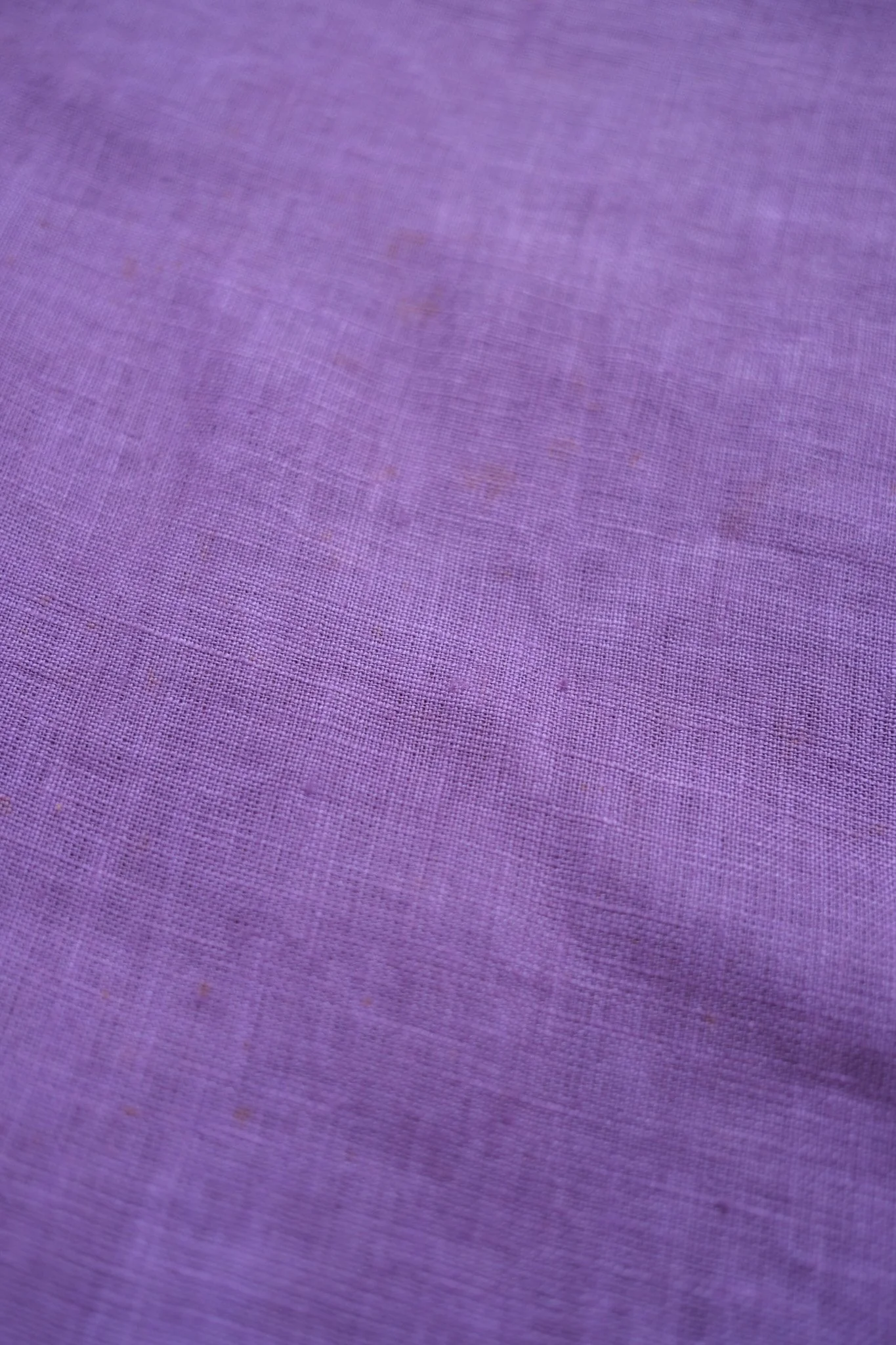 DSCF0035.jpg