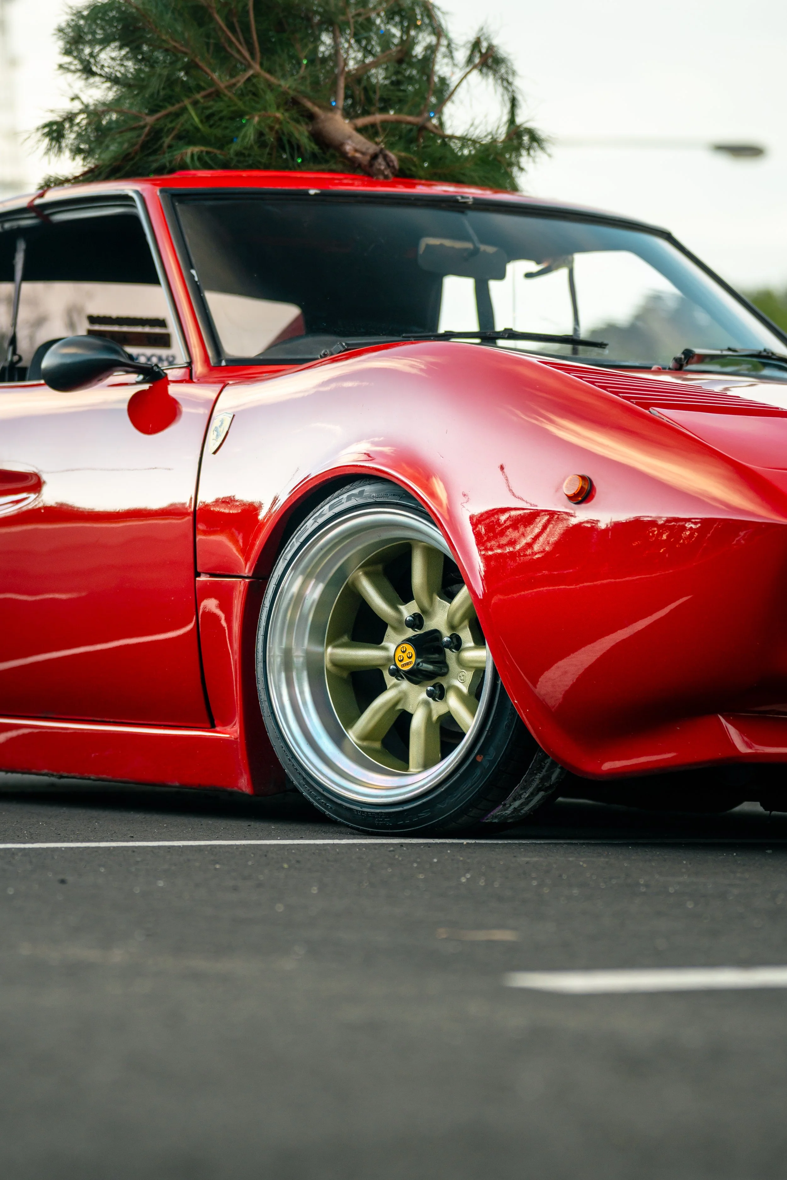 LOW STANDARDS FERRARI-13.jpg