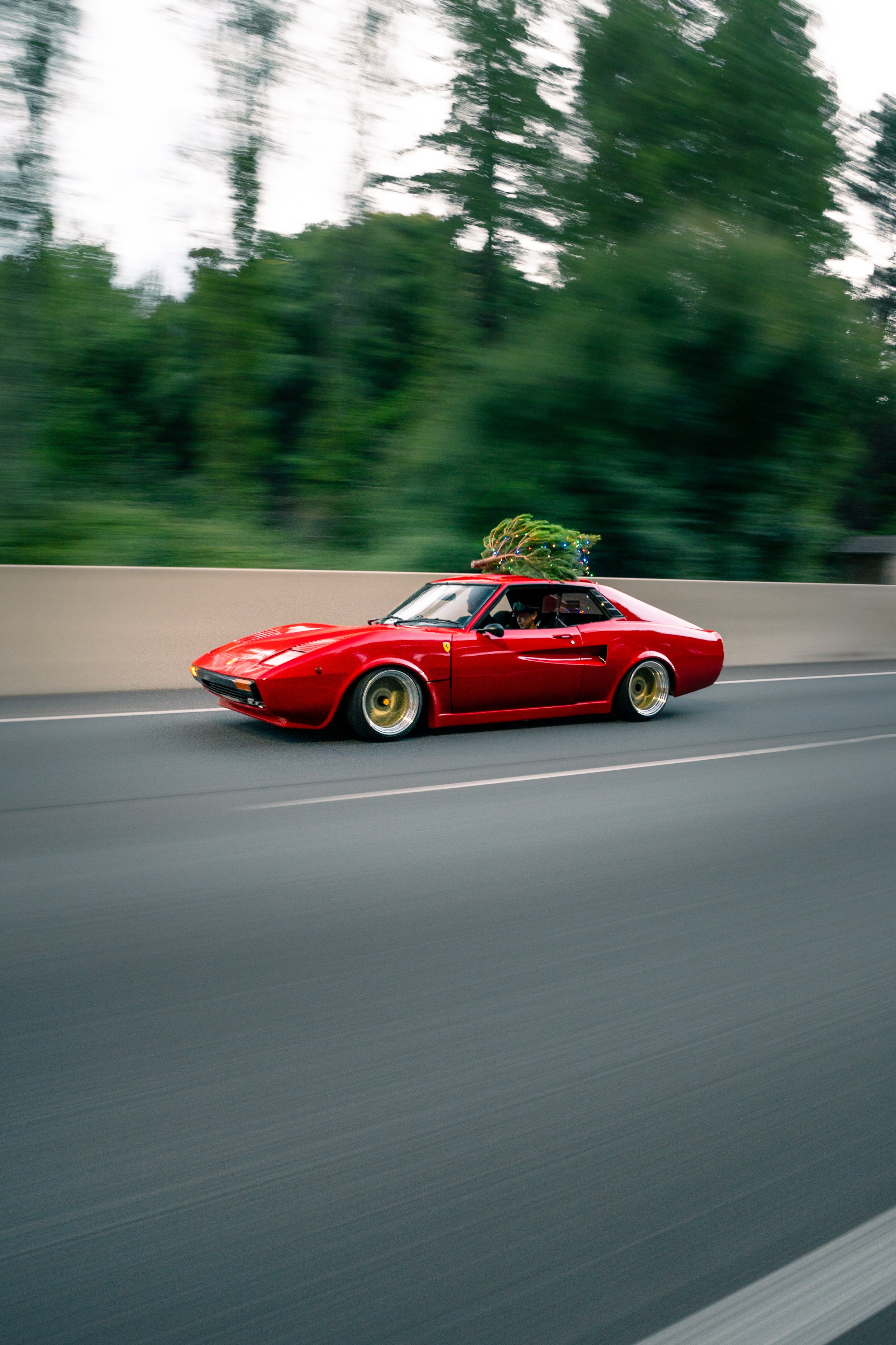 LOW STANDARDS FERRARI-4.jpg