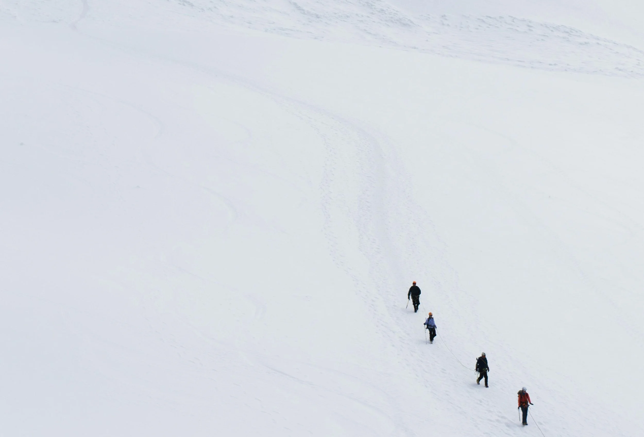 Il crollo della fiducia