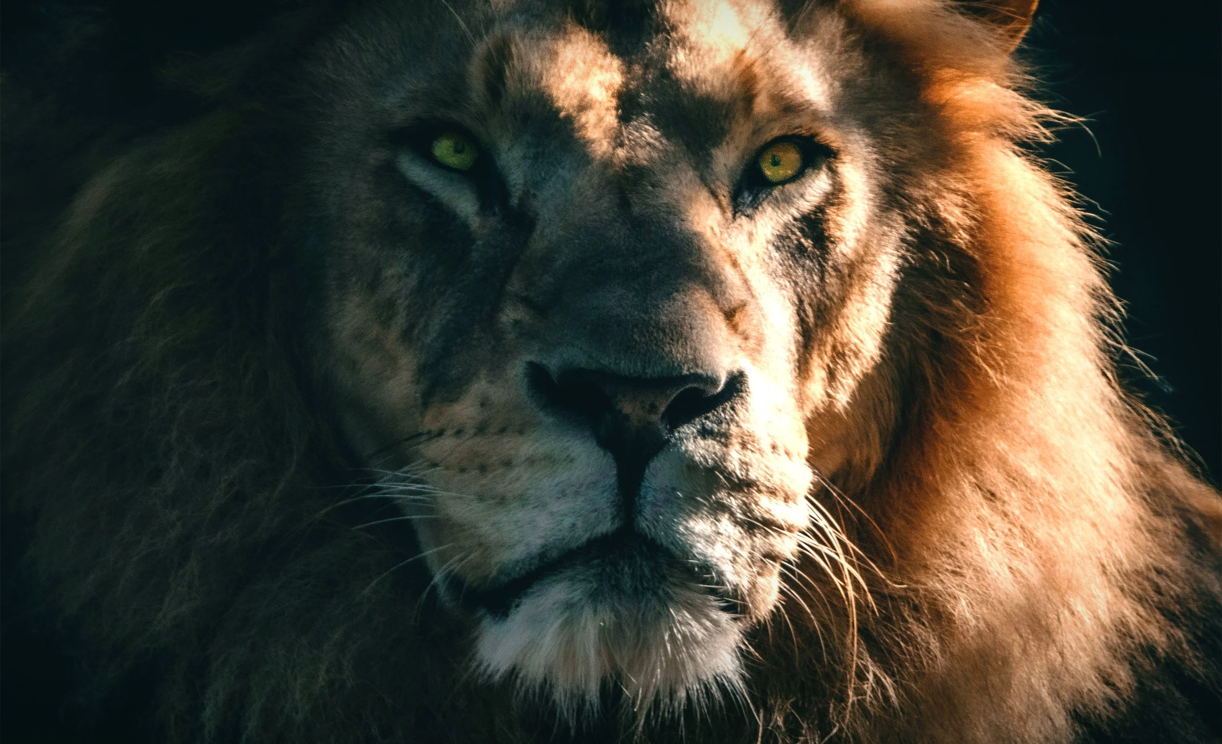 La calma, la virtù dei leader