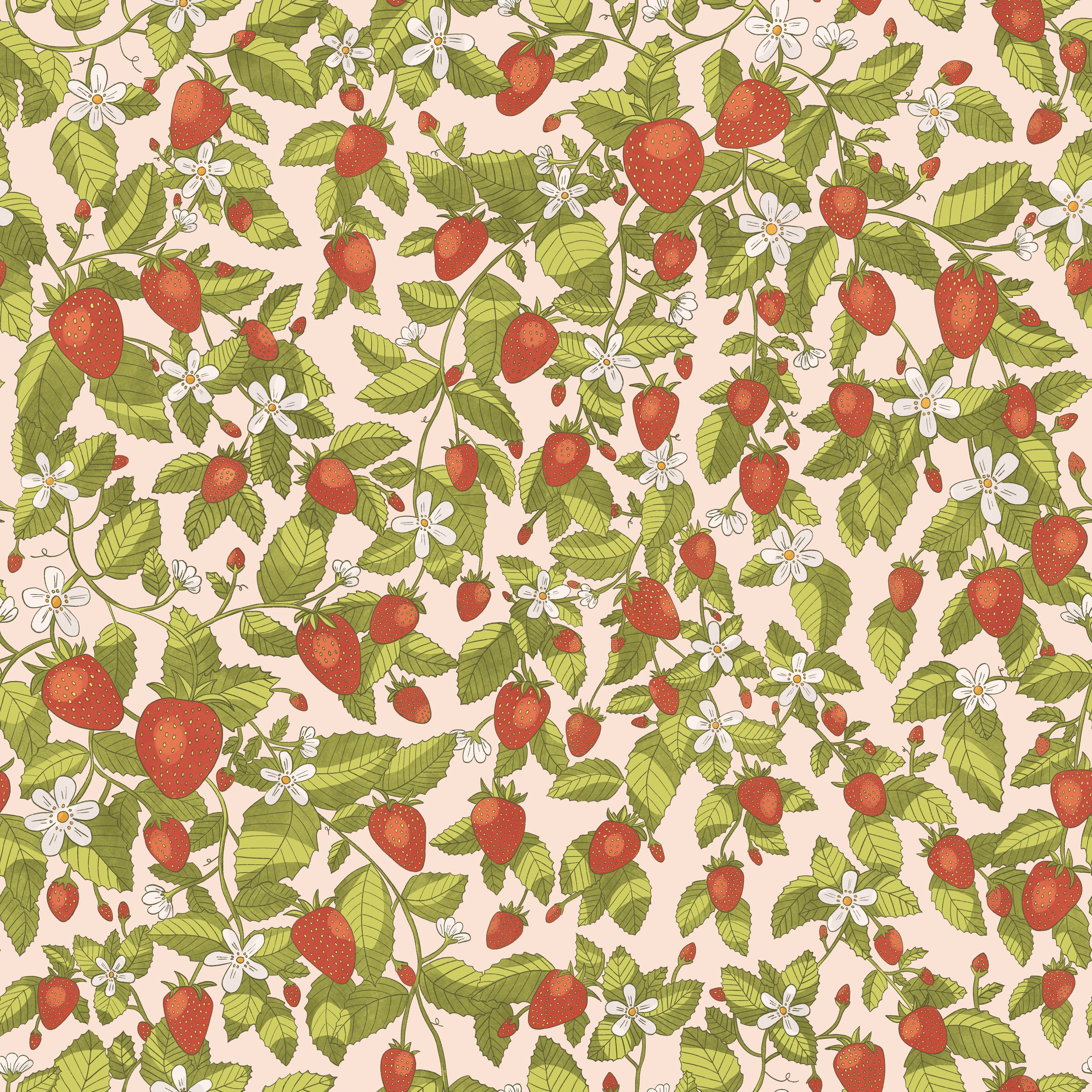 Strawberry blosoom blush 2.jpg