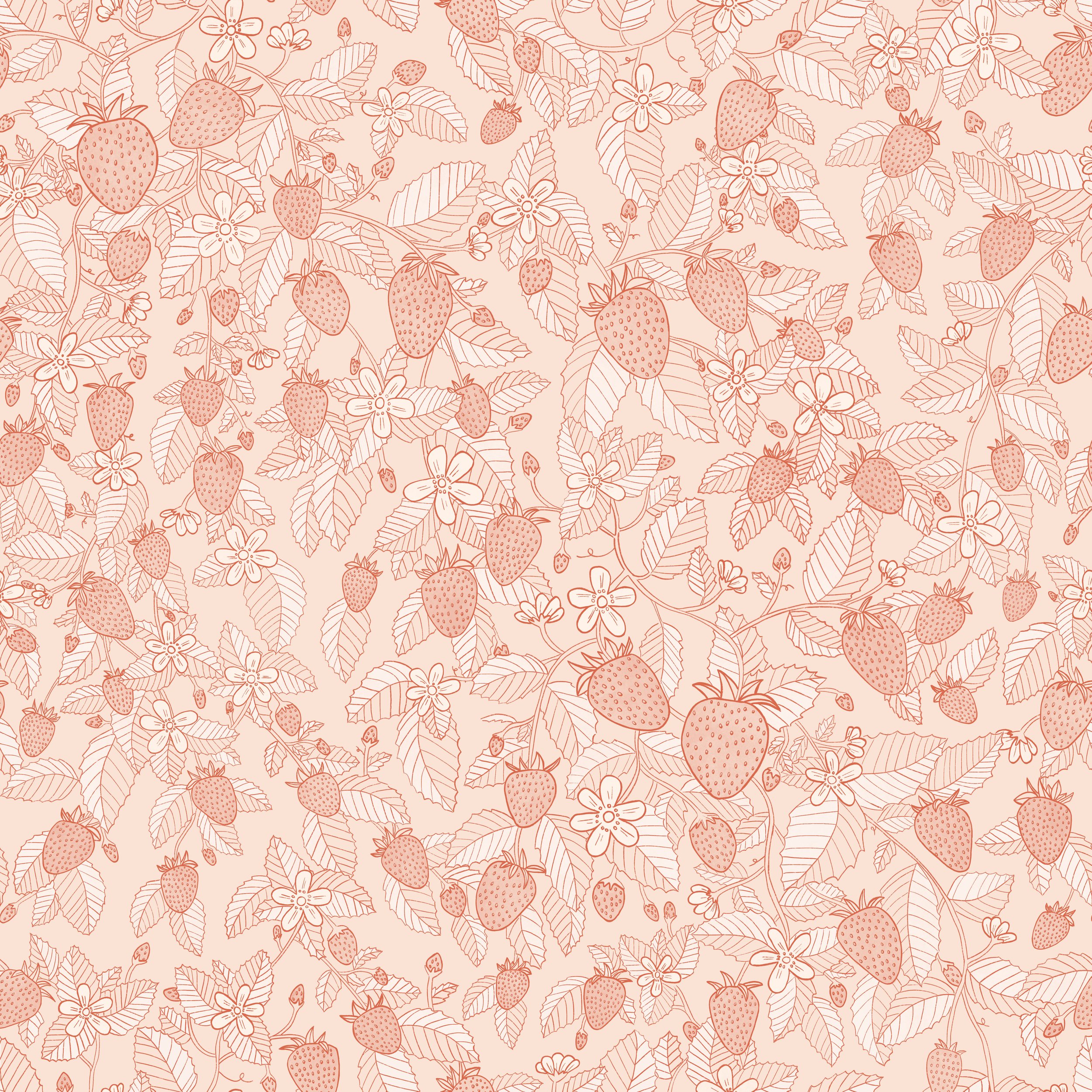 strawberry line blush 6.jpg