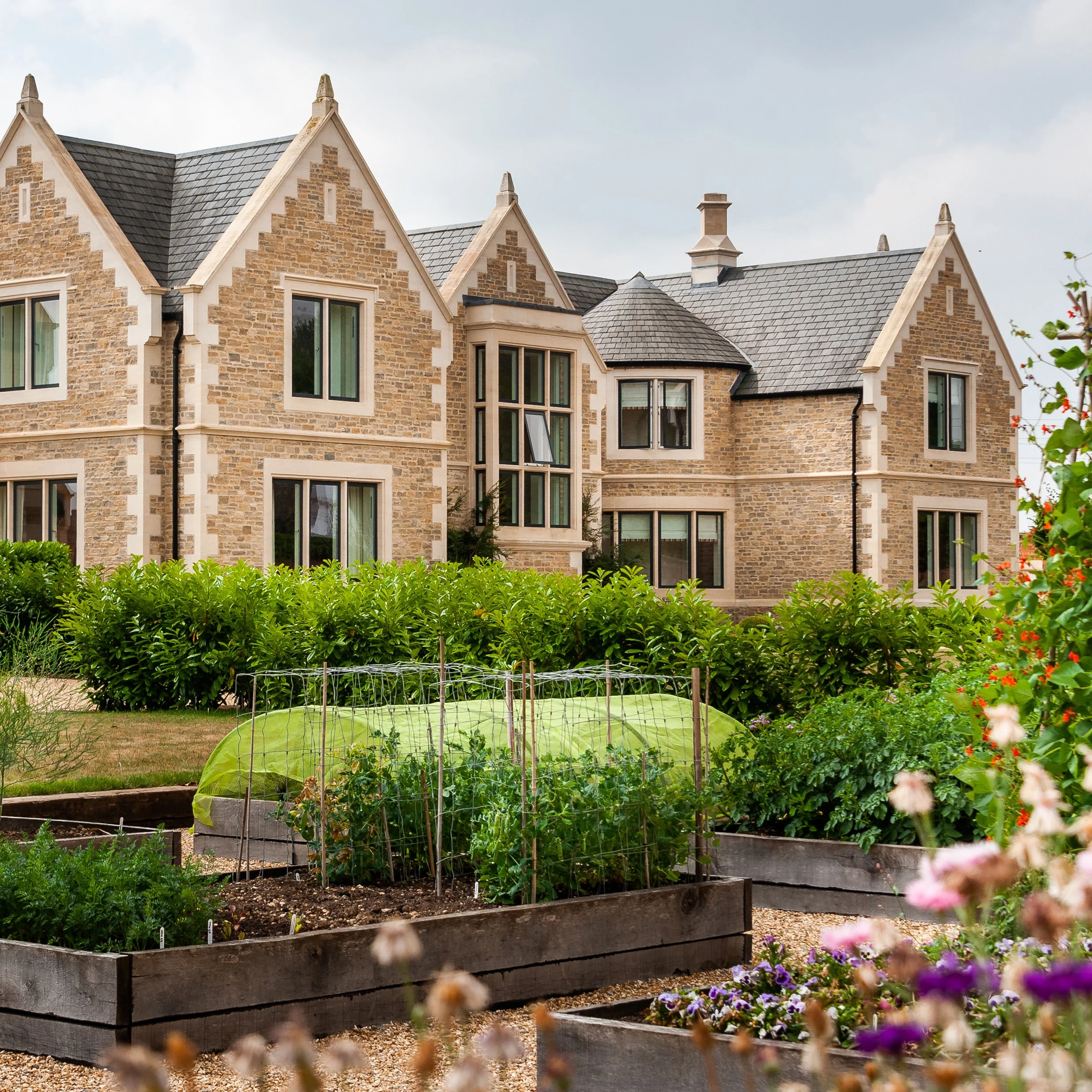 FG. square image.jpg