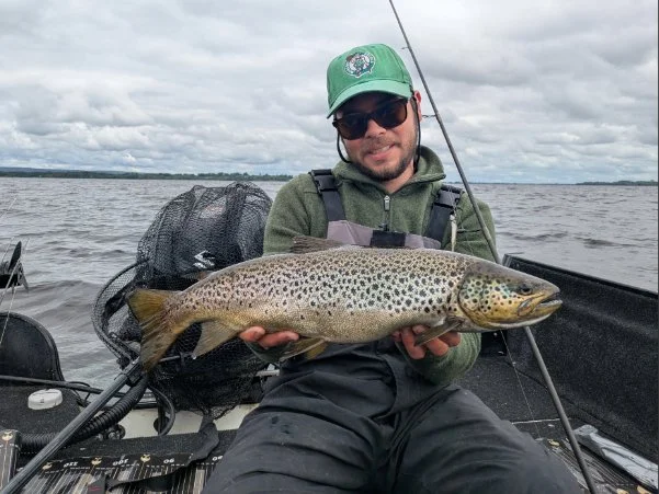Perch and trout caught during fishing trips