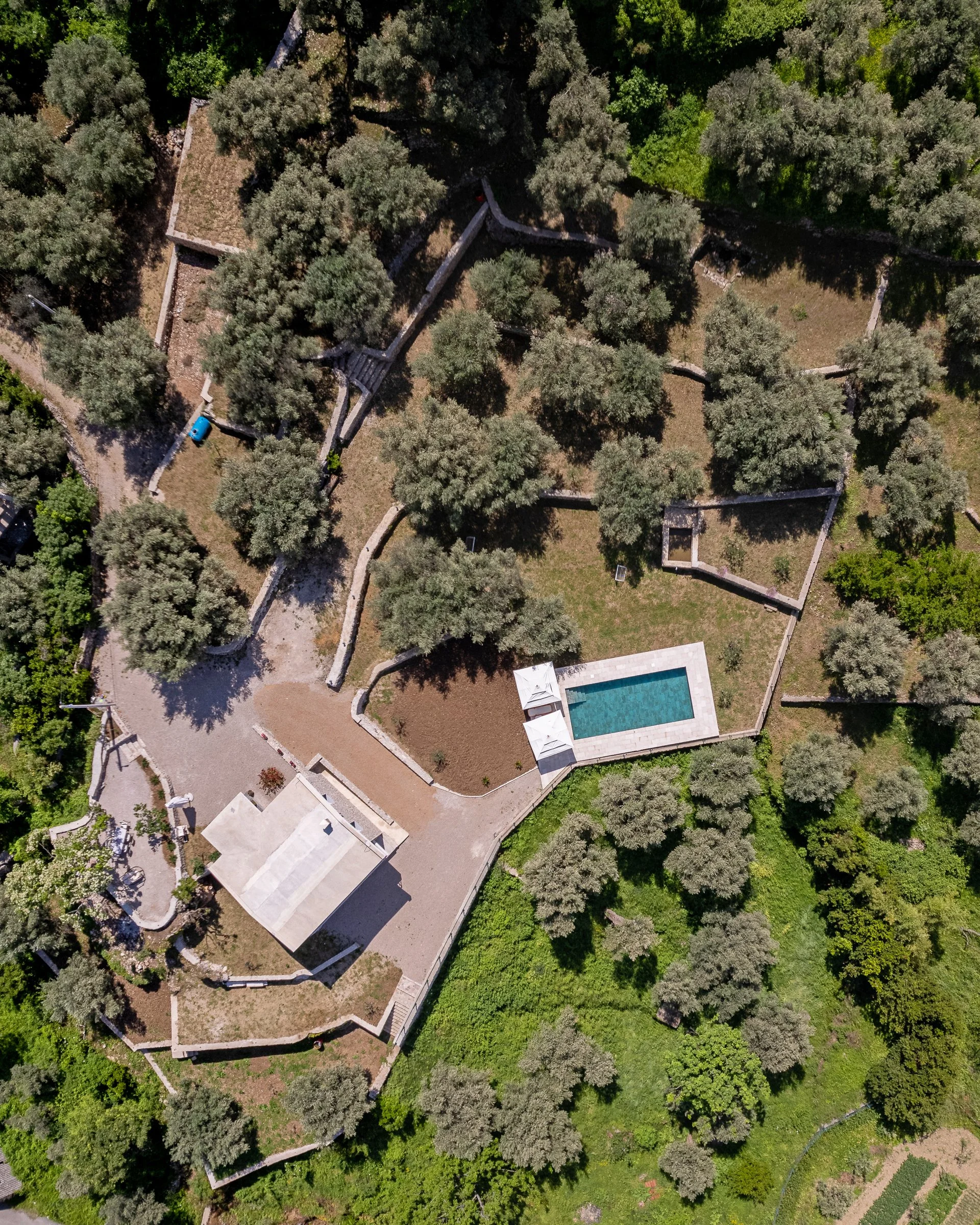 Exterior LR (20 of 36).jpg