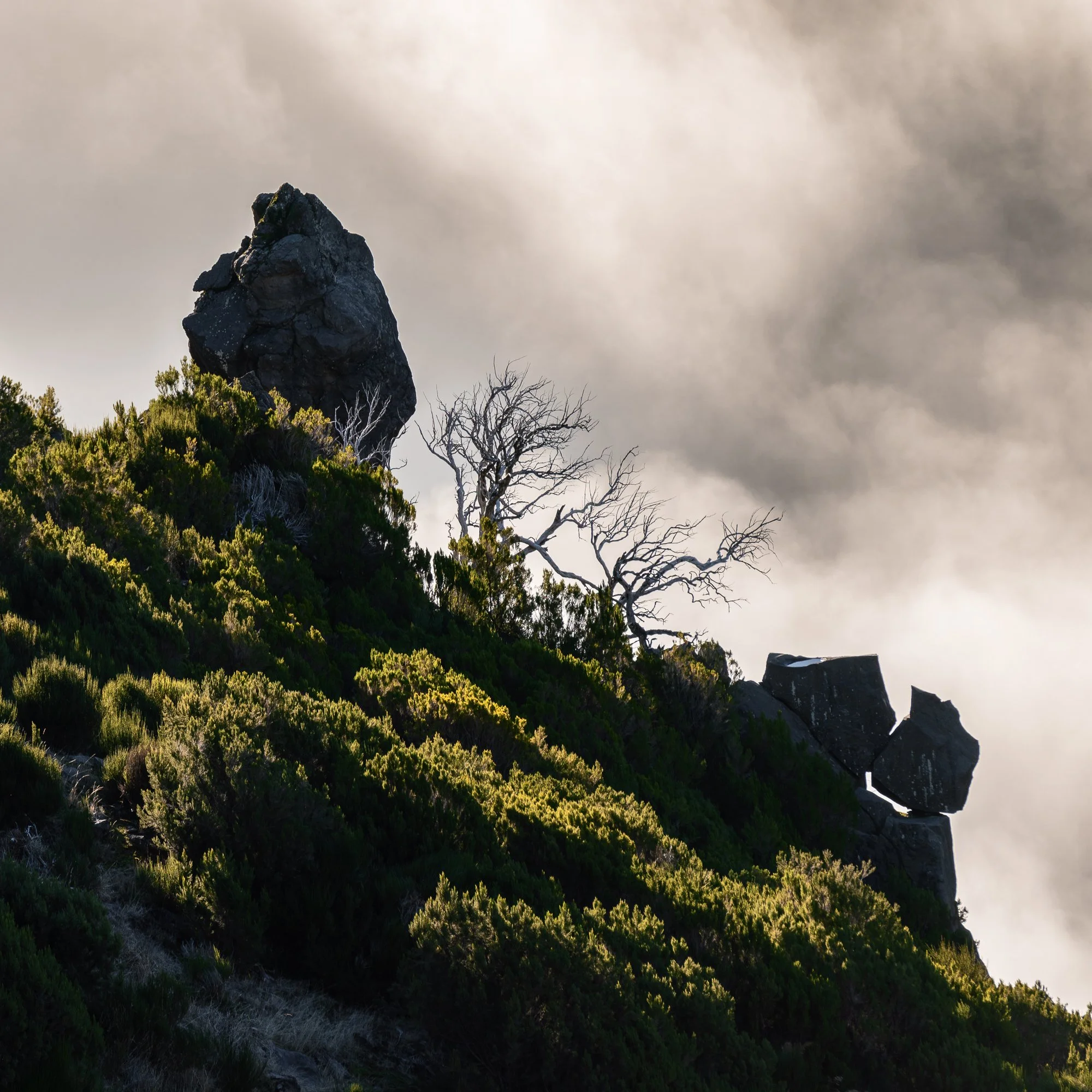 Histoire d'un baiser