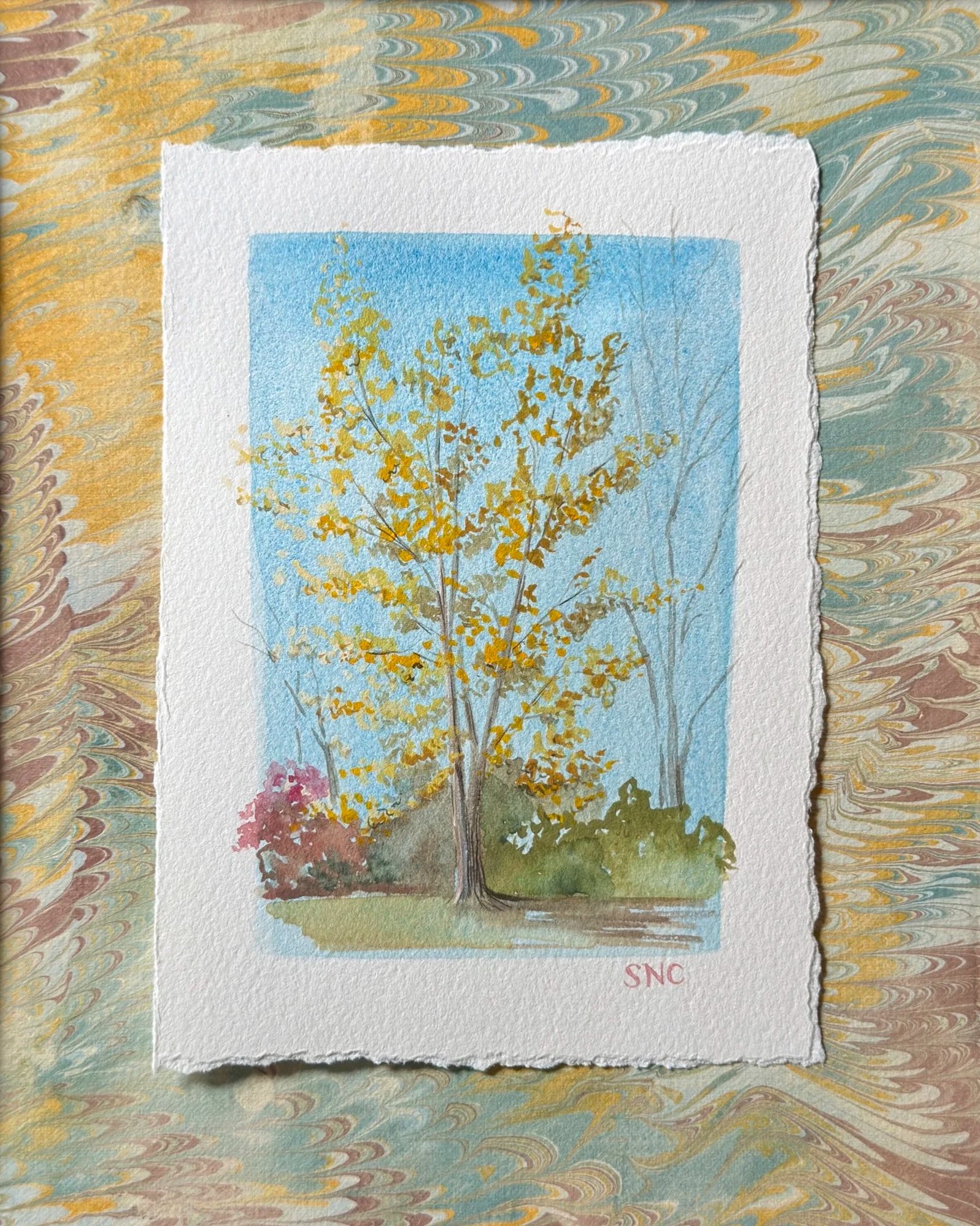 November, watercolor and gouache float mounted over hand-marbled paper - contact for availability