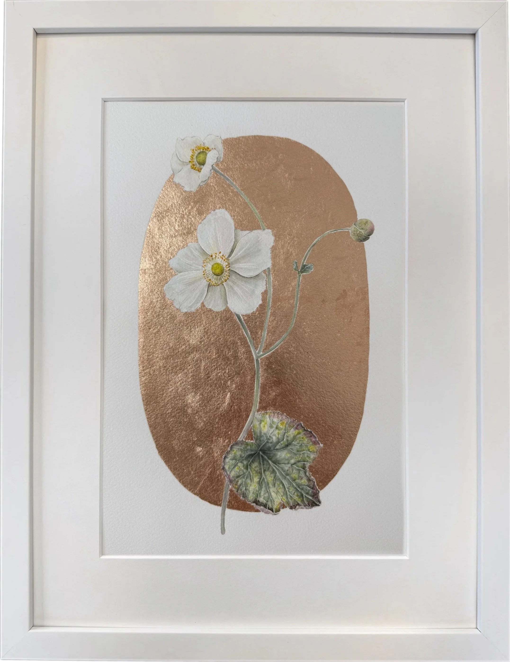 Anemone Vignette. Watercolor and 22 karat rose gold. Matted and framed in a white wood gallery frame. 12x16 inches.