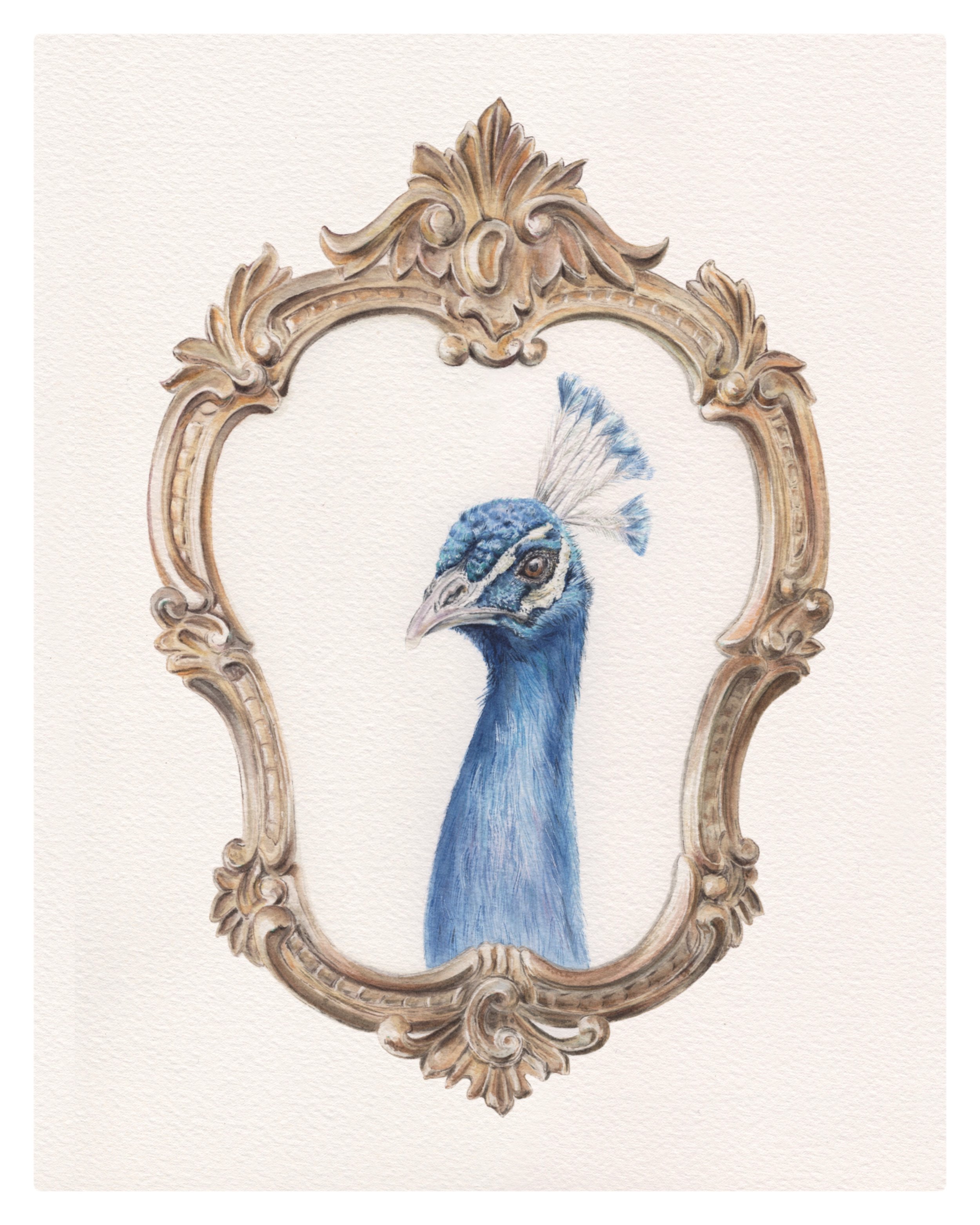 Mirror, Mirror (sold)