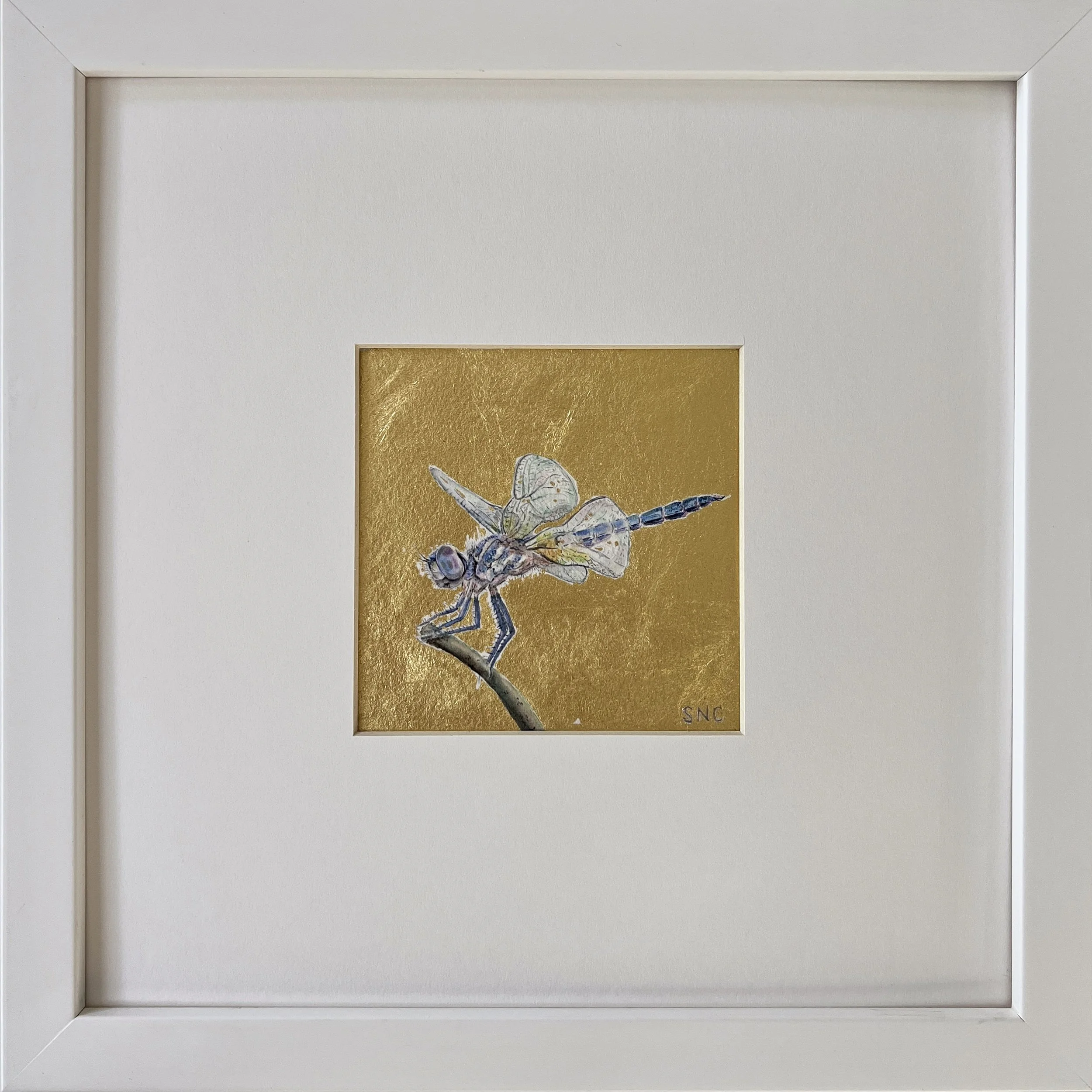 Dragonfly Gem. Watercolor and 22 karat gold. Matted and framed in a white gallery frame. 10x10 inches.