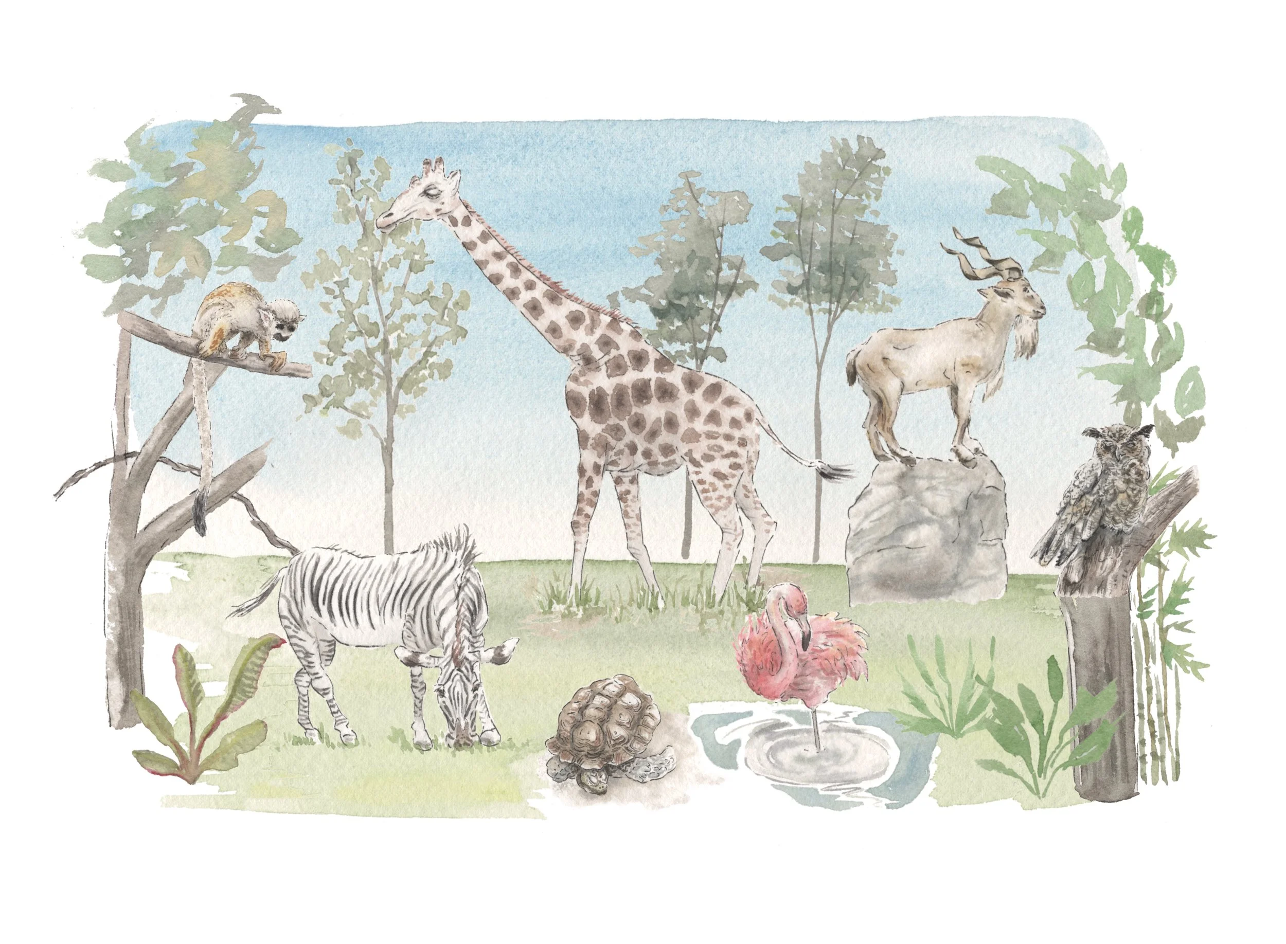 “A Day at the Zoo” - Print