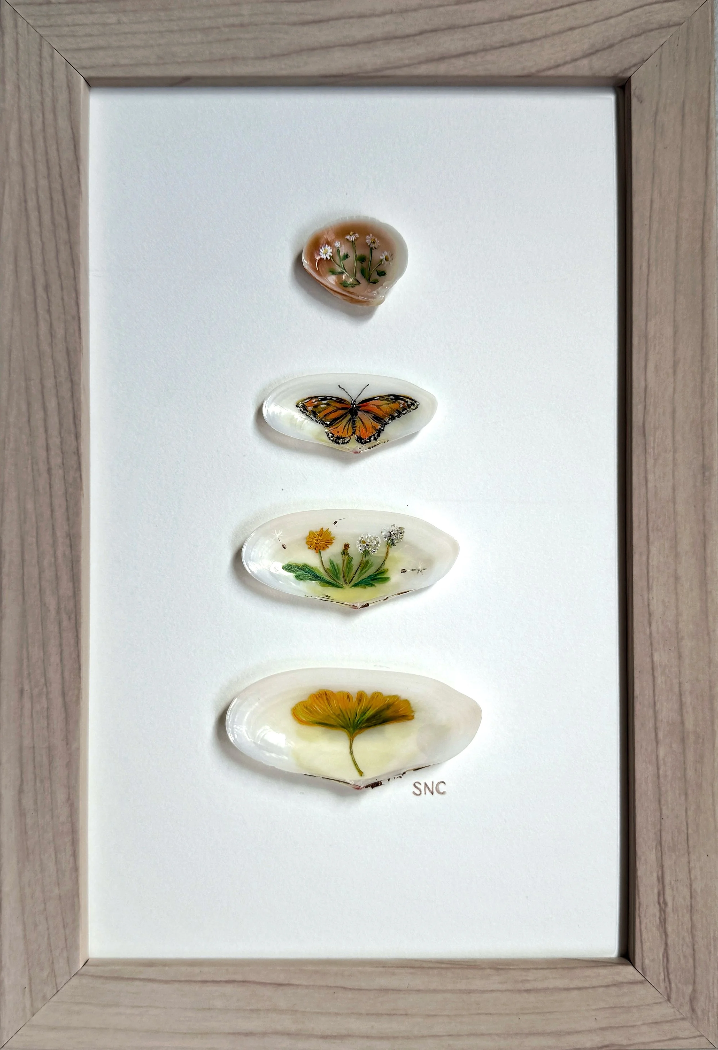 Shell Collection No. 1, acrylic and seashells, 5x8 inches (sold)