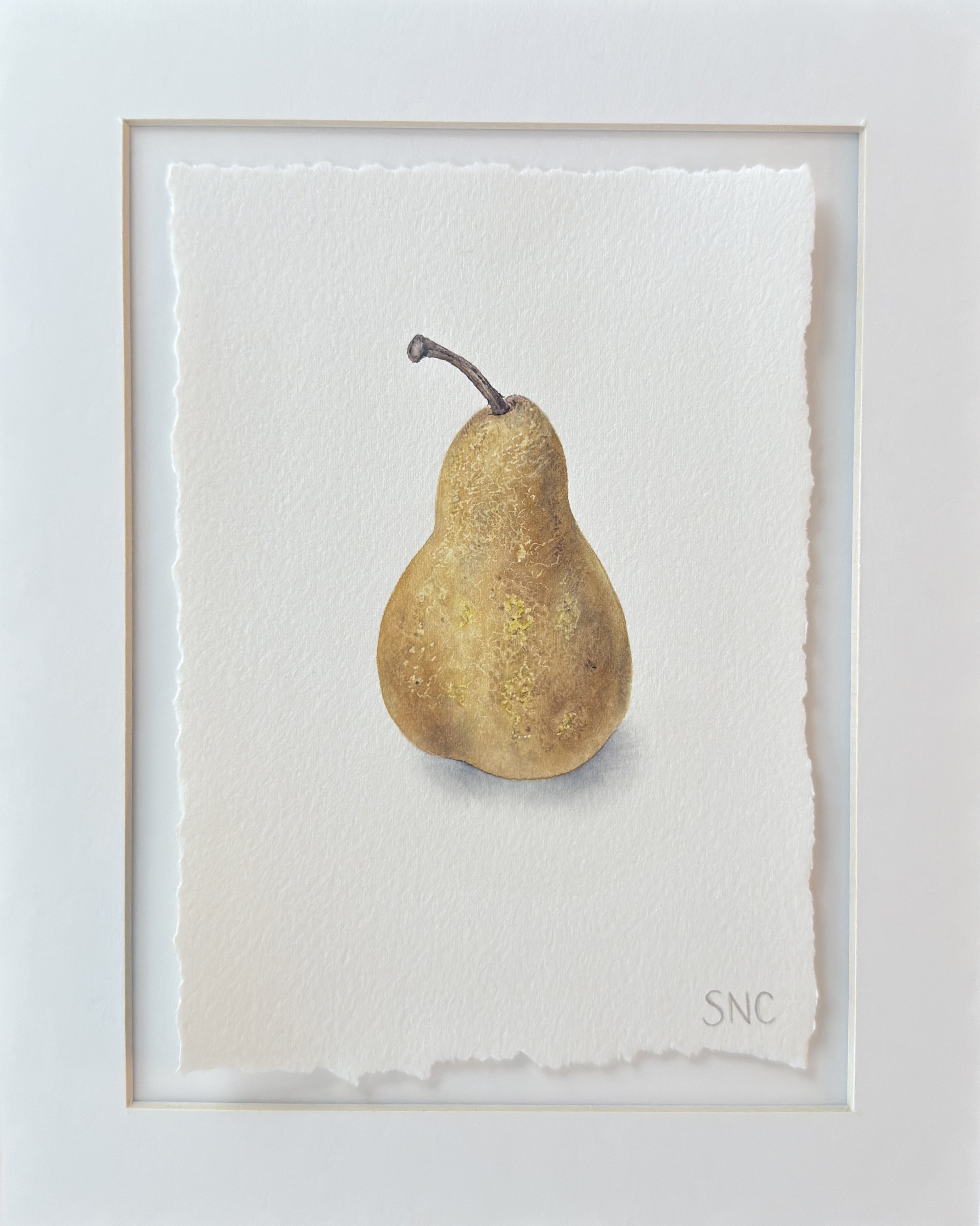 Pear. Watercolor. Matted and ready to frame. 8x10 inches.