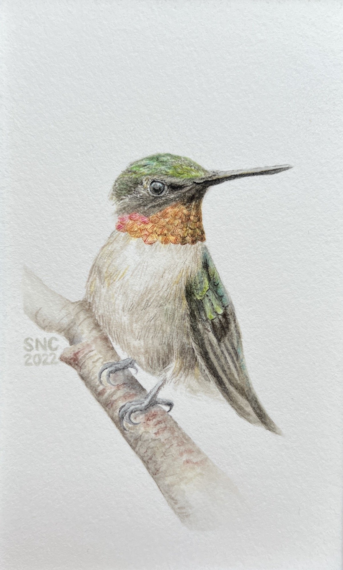 Hummingbird, 3"x5" (SOLD)