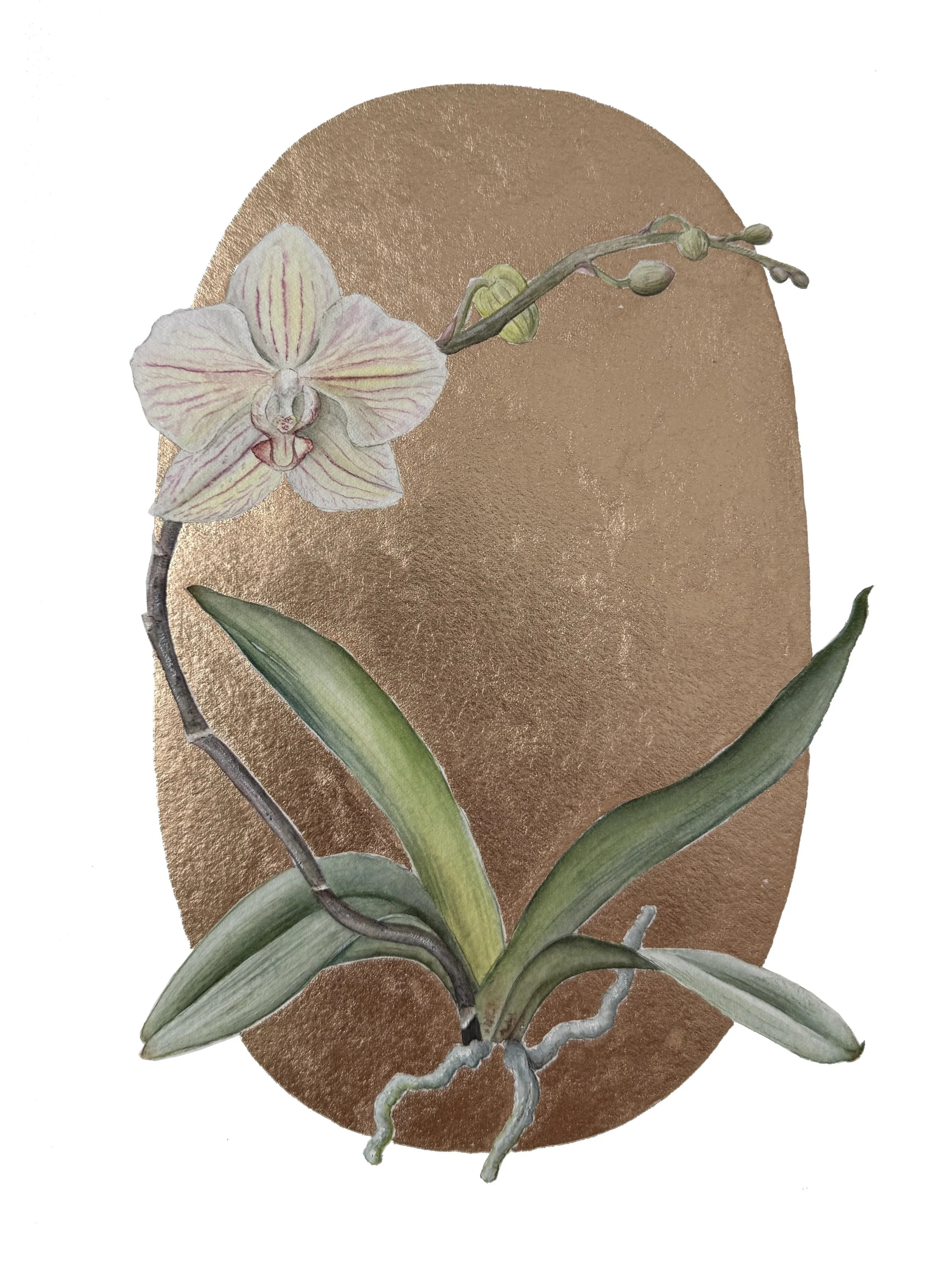 Orchid Vignette, watercolor and 22 karat rose gold leaf - contact for availability