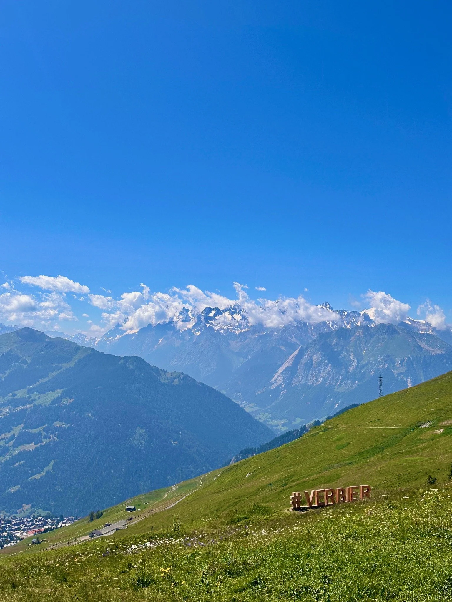 Alpine Gin: What It Means and Why It Matters