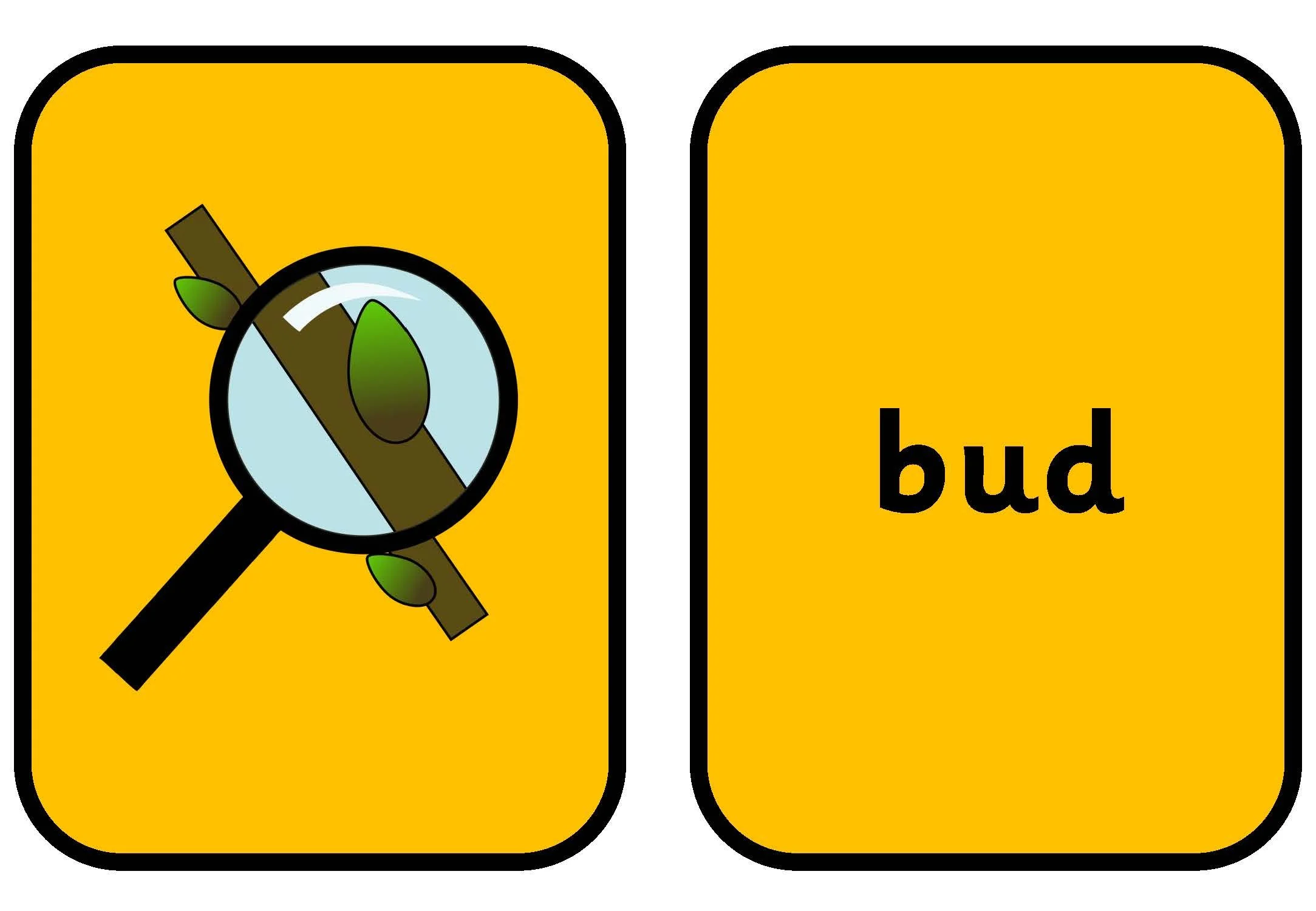 Spring Display Orange Words_Page_01.jpg