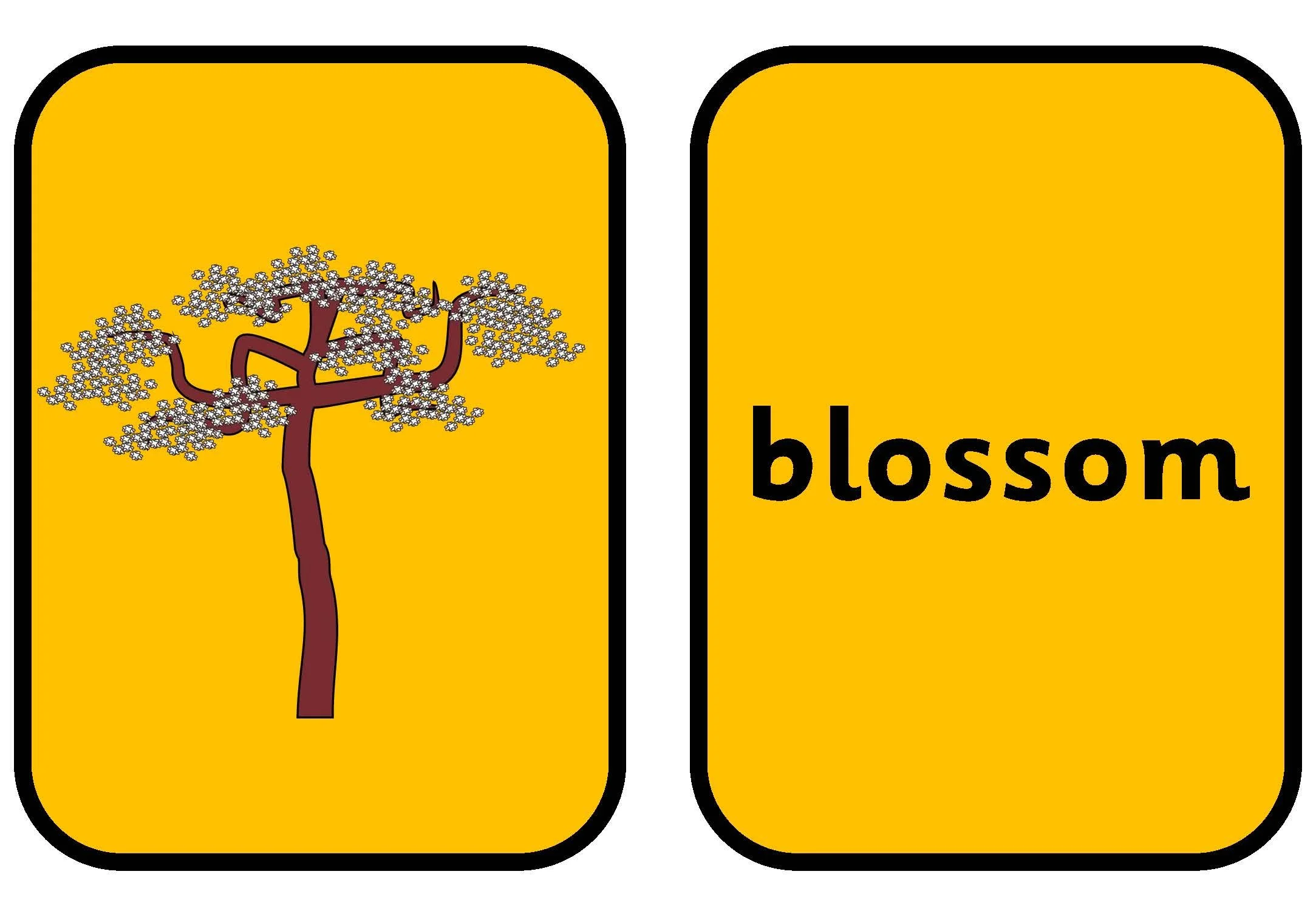 Spring Display Orange Words_Page_02.jpg