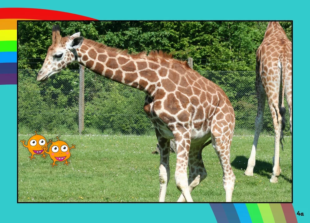 Rainbow phase introduction pip and pap phonics worldwide