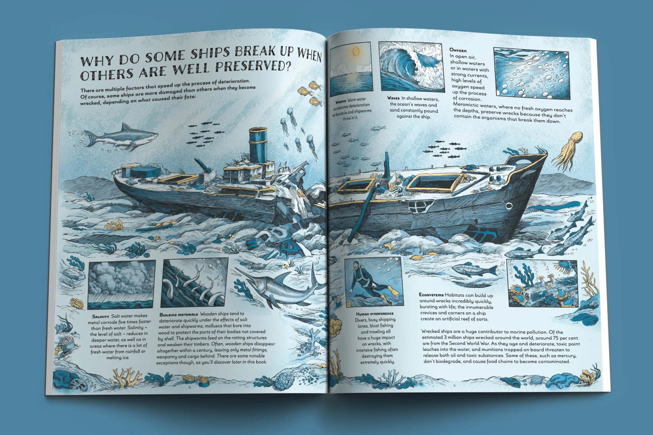 Shipwreck_1.jpg