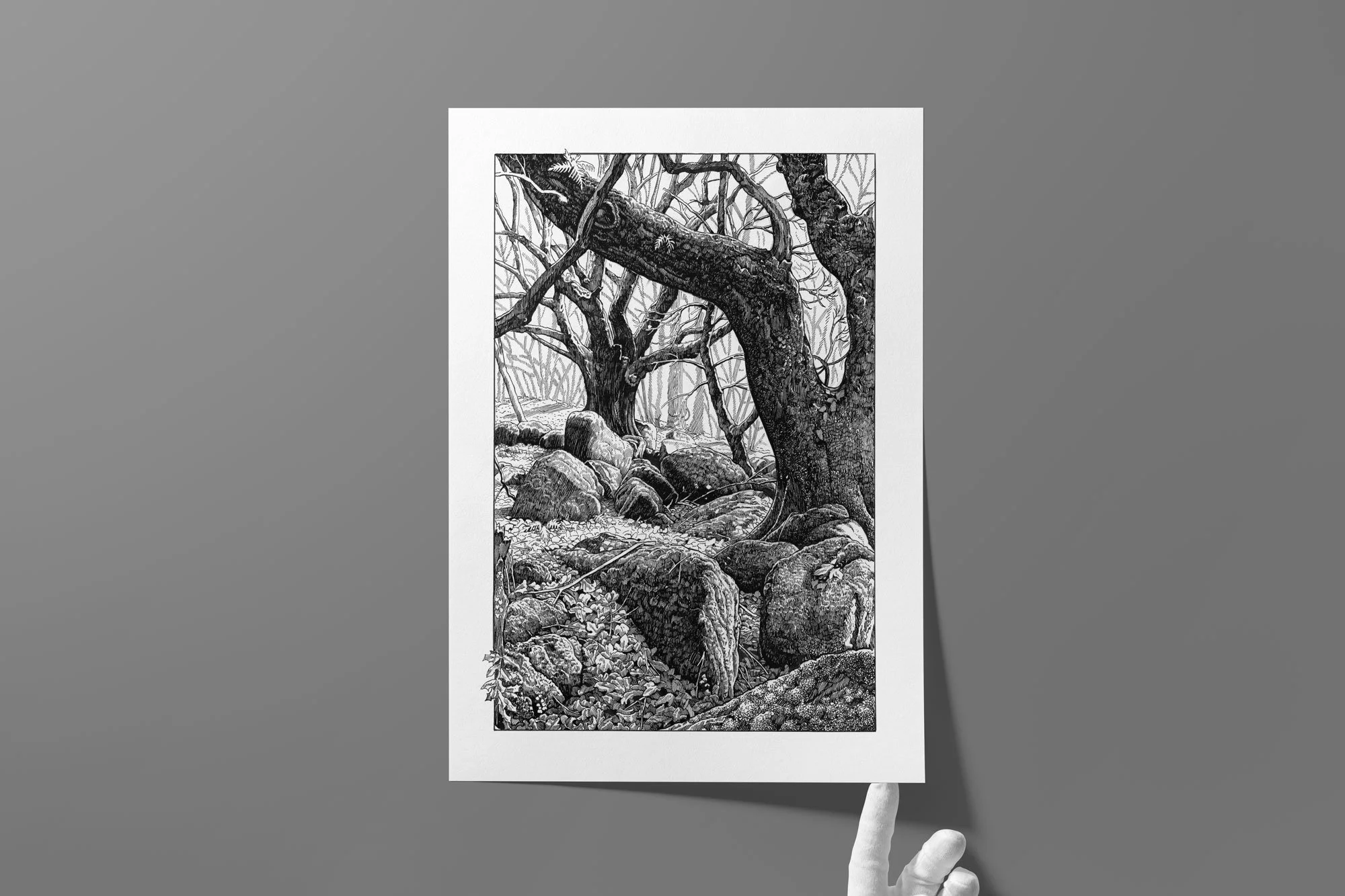 Tales from the Trees Limited Edition Giclée Print