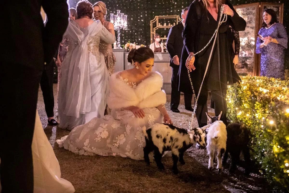 Weddings - COMMODORE PERRY ESTATE AUSTIN, TEXAS