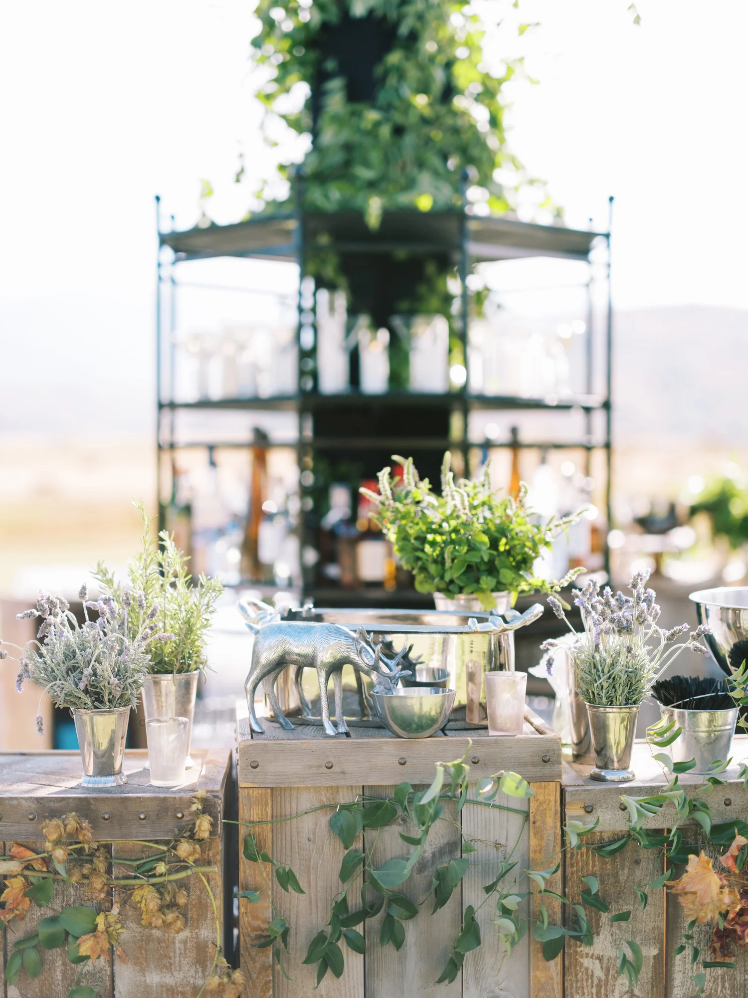 Weddings - MOONSHOT RANCH ASPEN, COLORADO