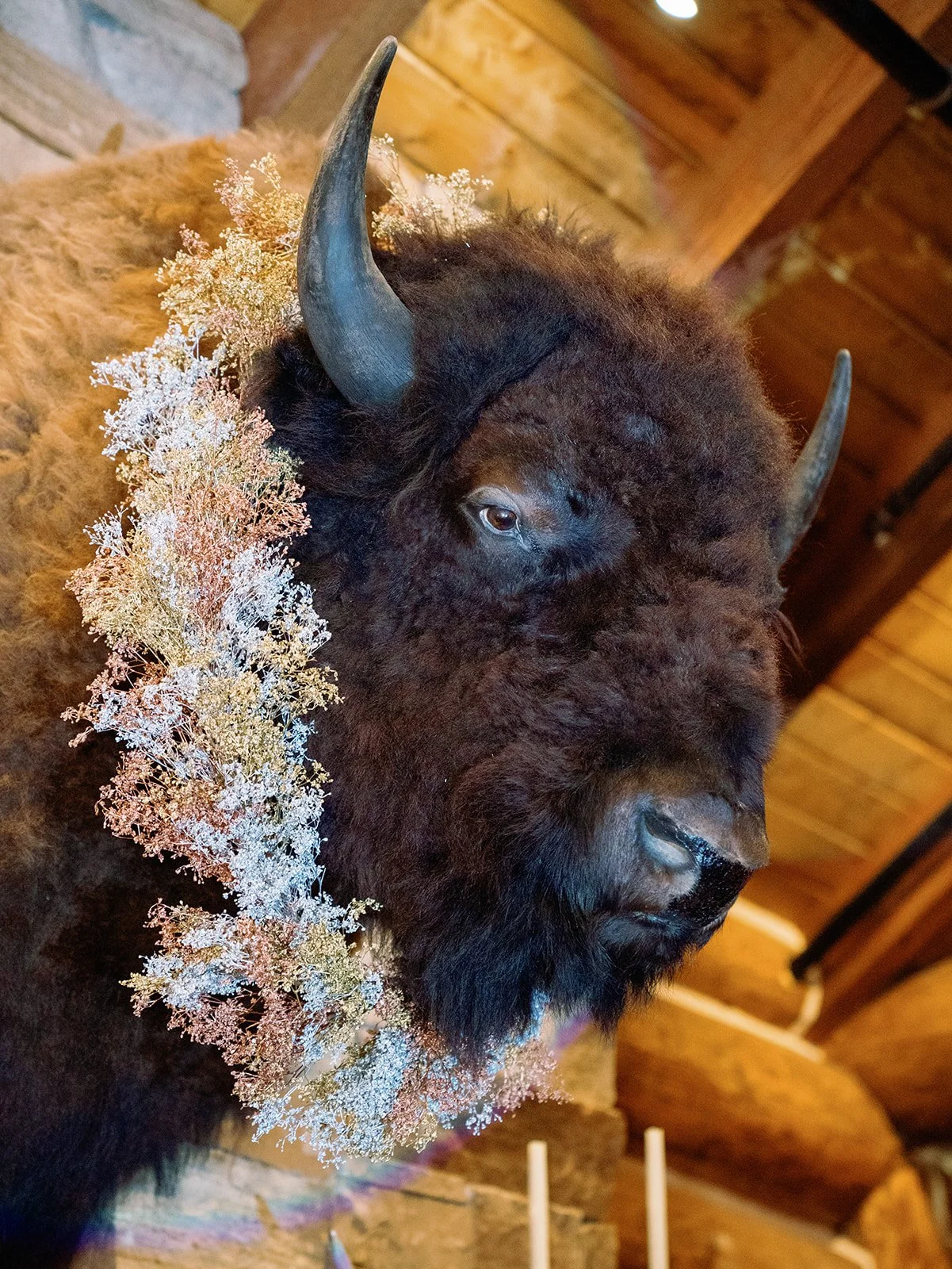 Wedding Weekends - Brush Creek Ranch, Saratoga, Wyoming
