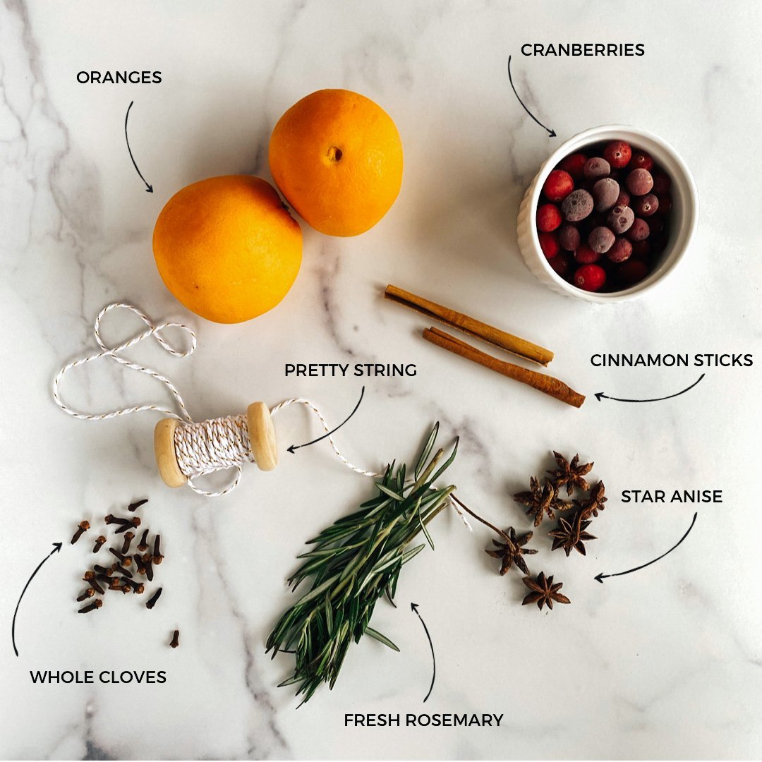 How to Make a Christmas Simmer Pot - The Quick Journey