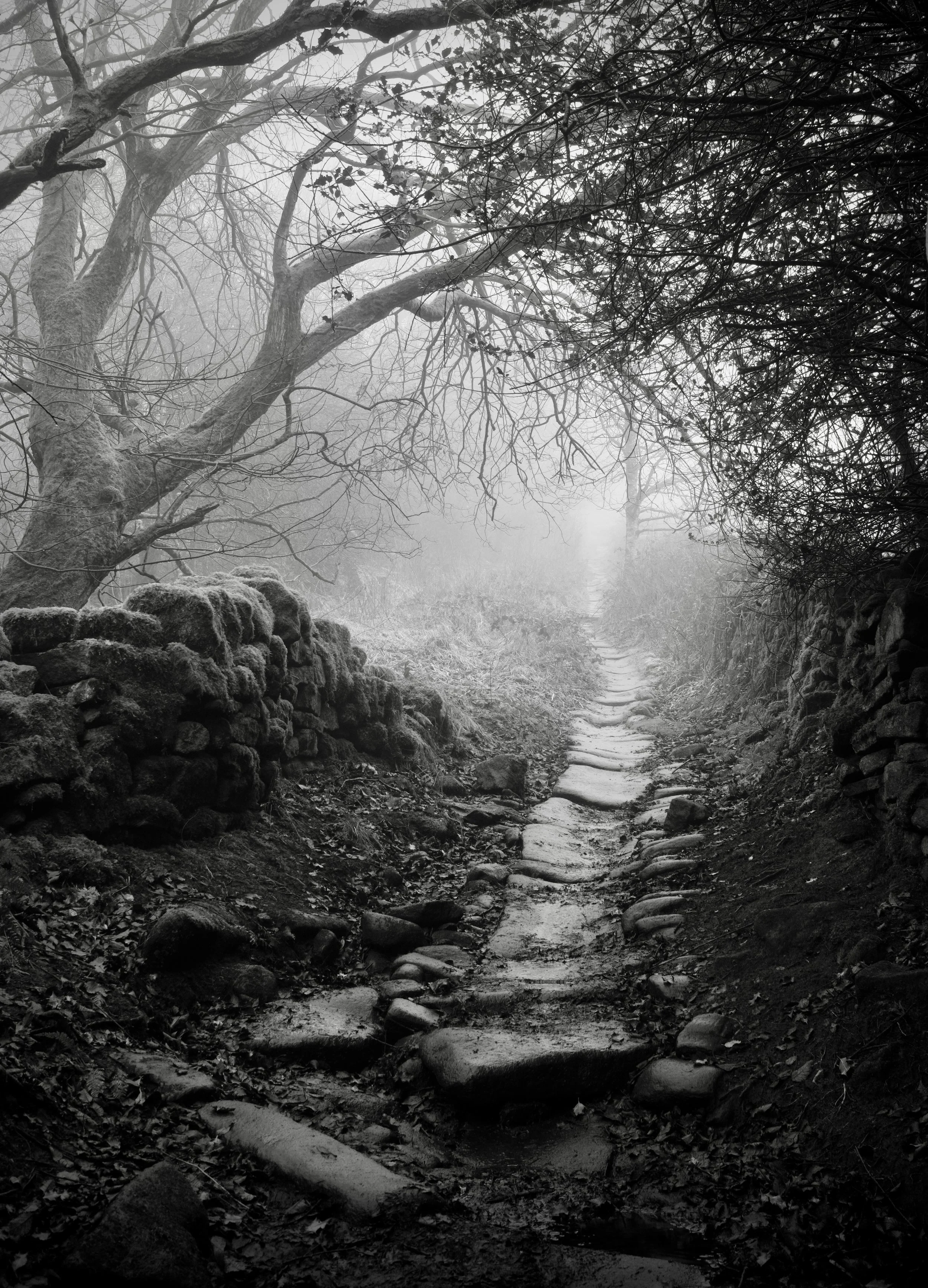 Pecket Well Path