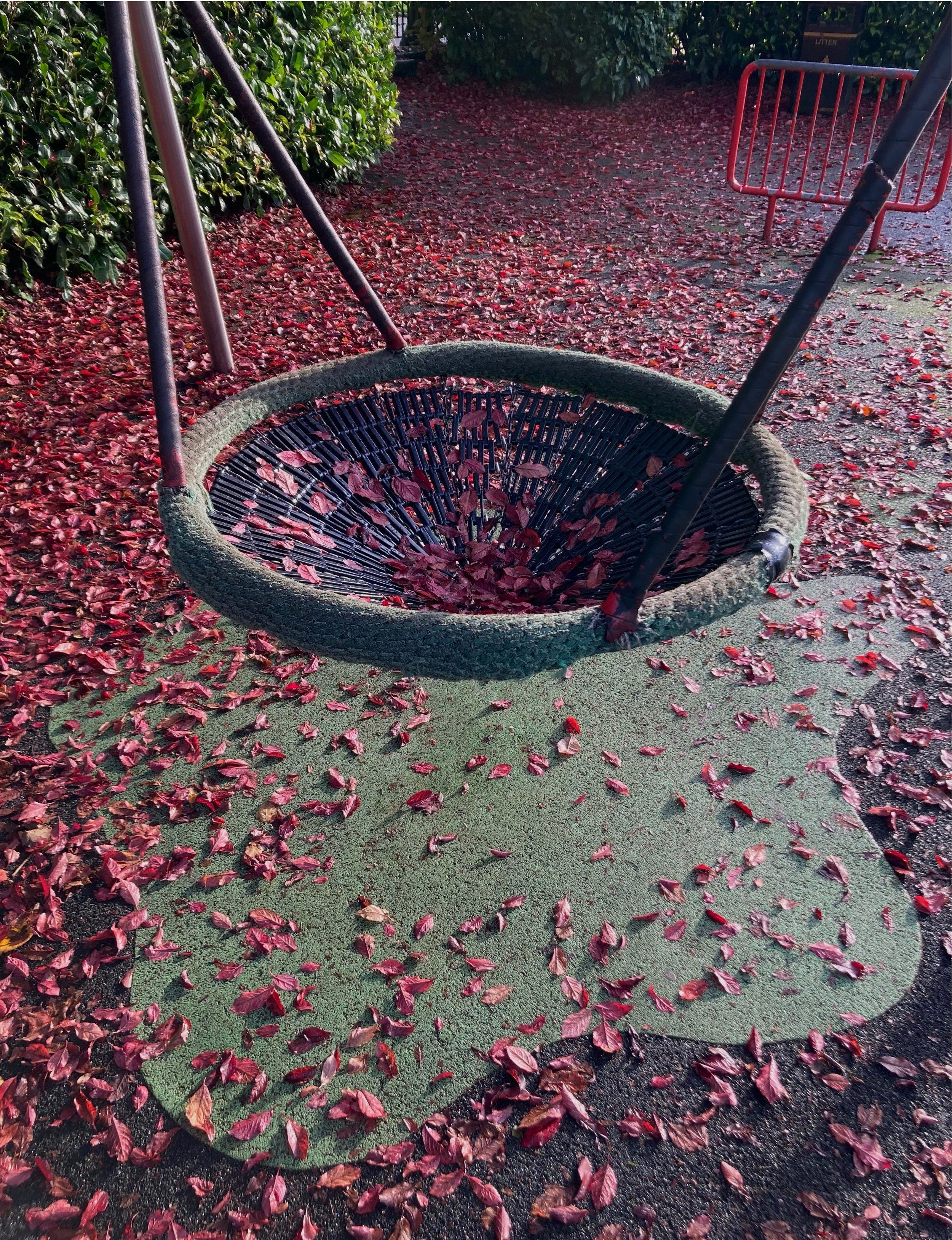 CalderHolmesPark.jpeg