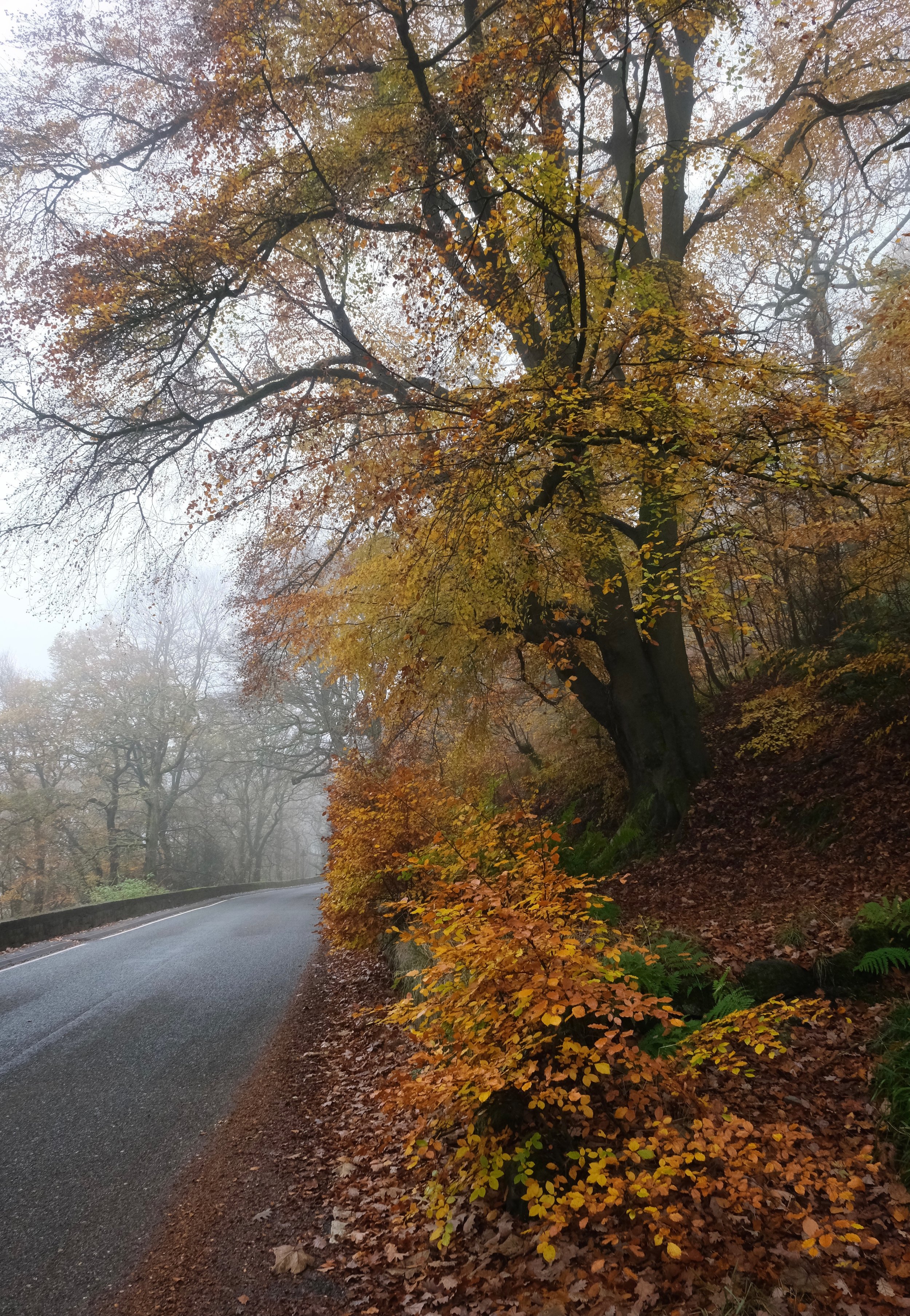 Heptonstall_Road_Autumn_landscape_Will_lake.jpeg