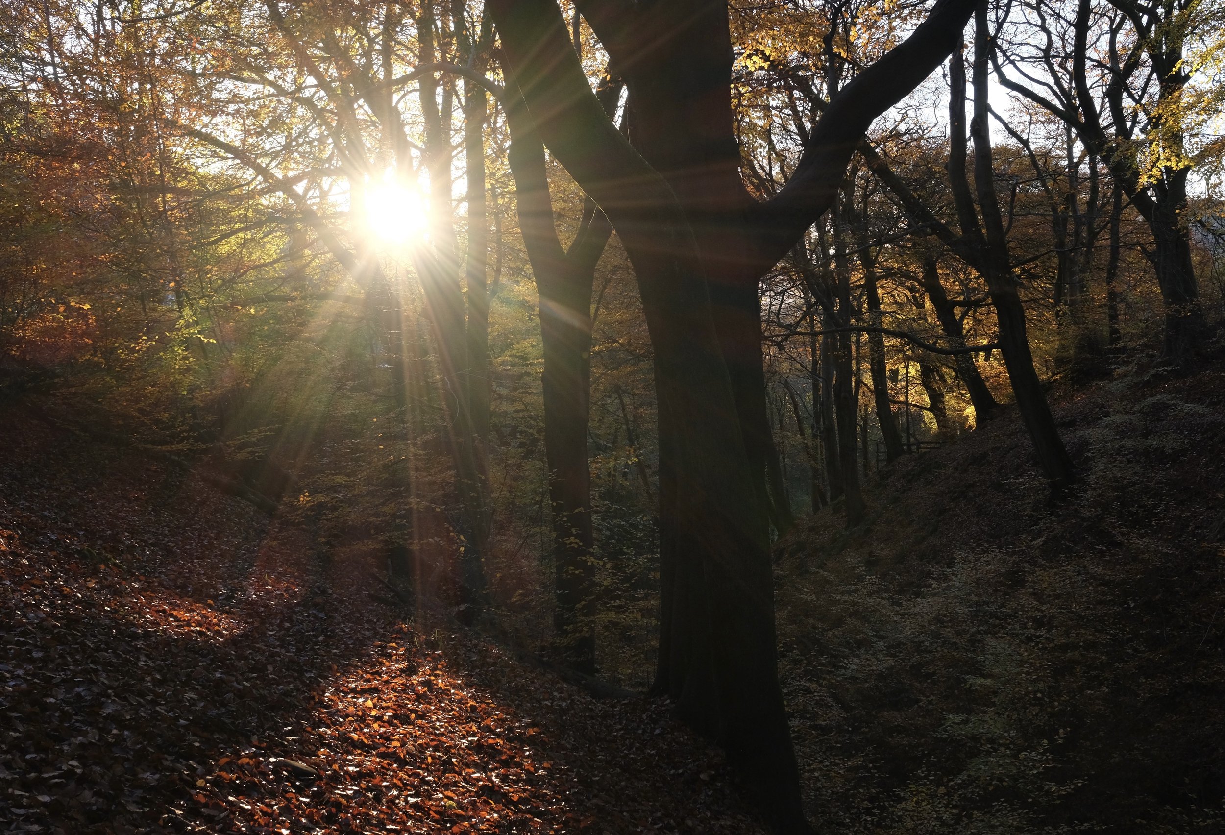 Nutclough_Radiance_Hebden_Bridge_Will_Lake.jpeg